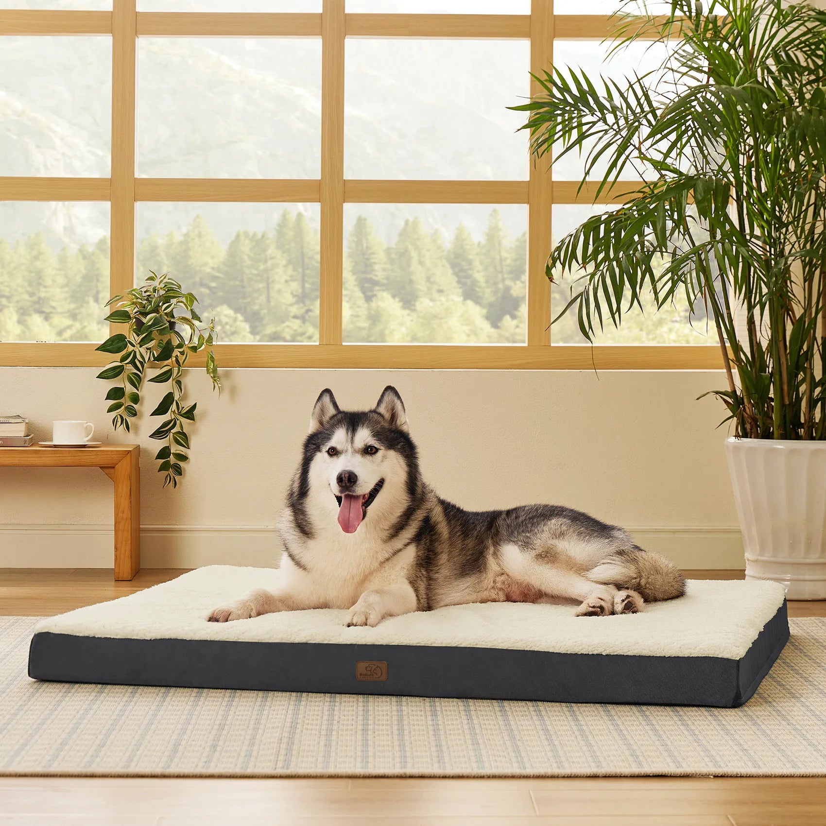 Large Washable Orthopedic Dog Bed