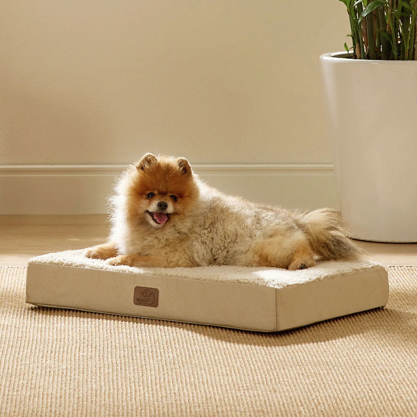 Large Washable Orthopedic Dog Bed