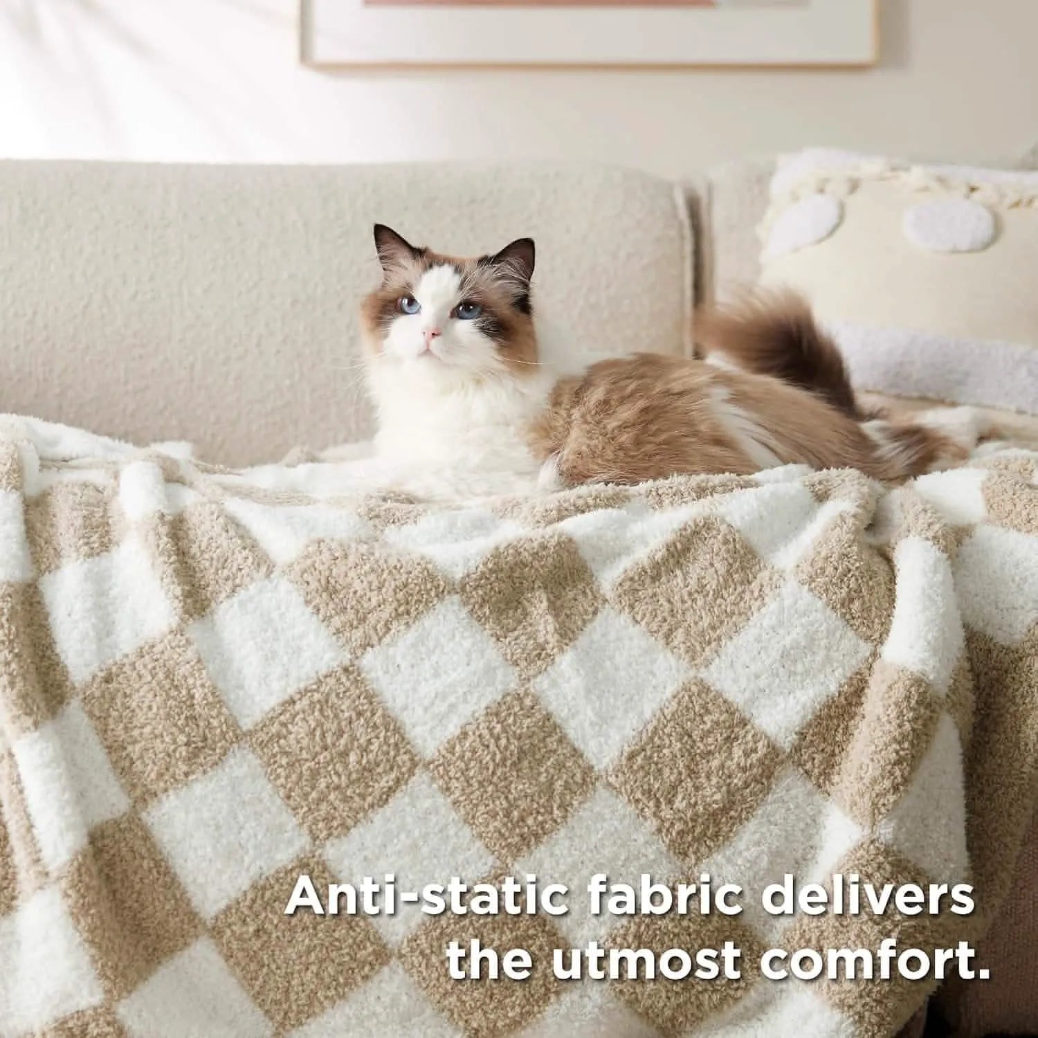 Ultra-Soft Reversible Checkered Blanket