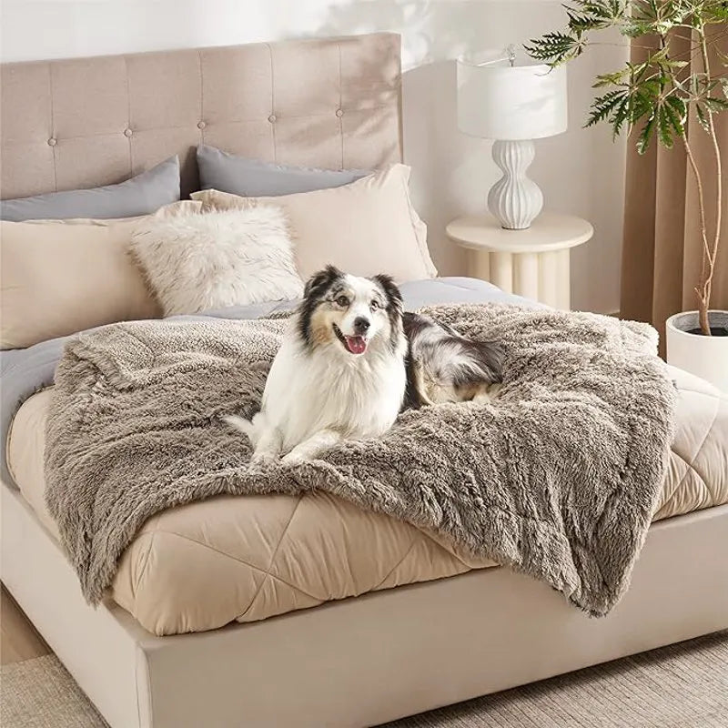 Waterproof Pet Blanket