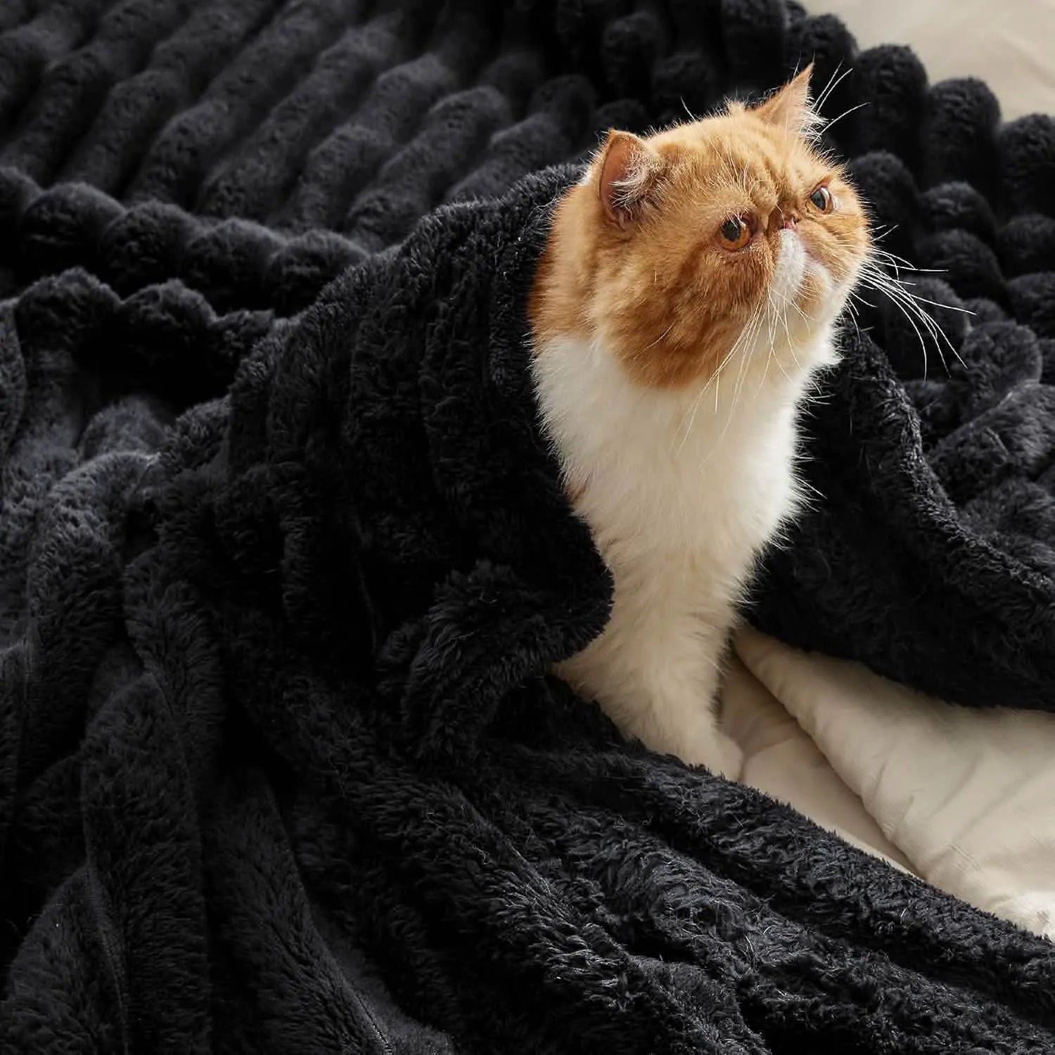 Luxplush Striped Throw Blanket
