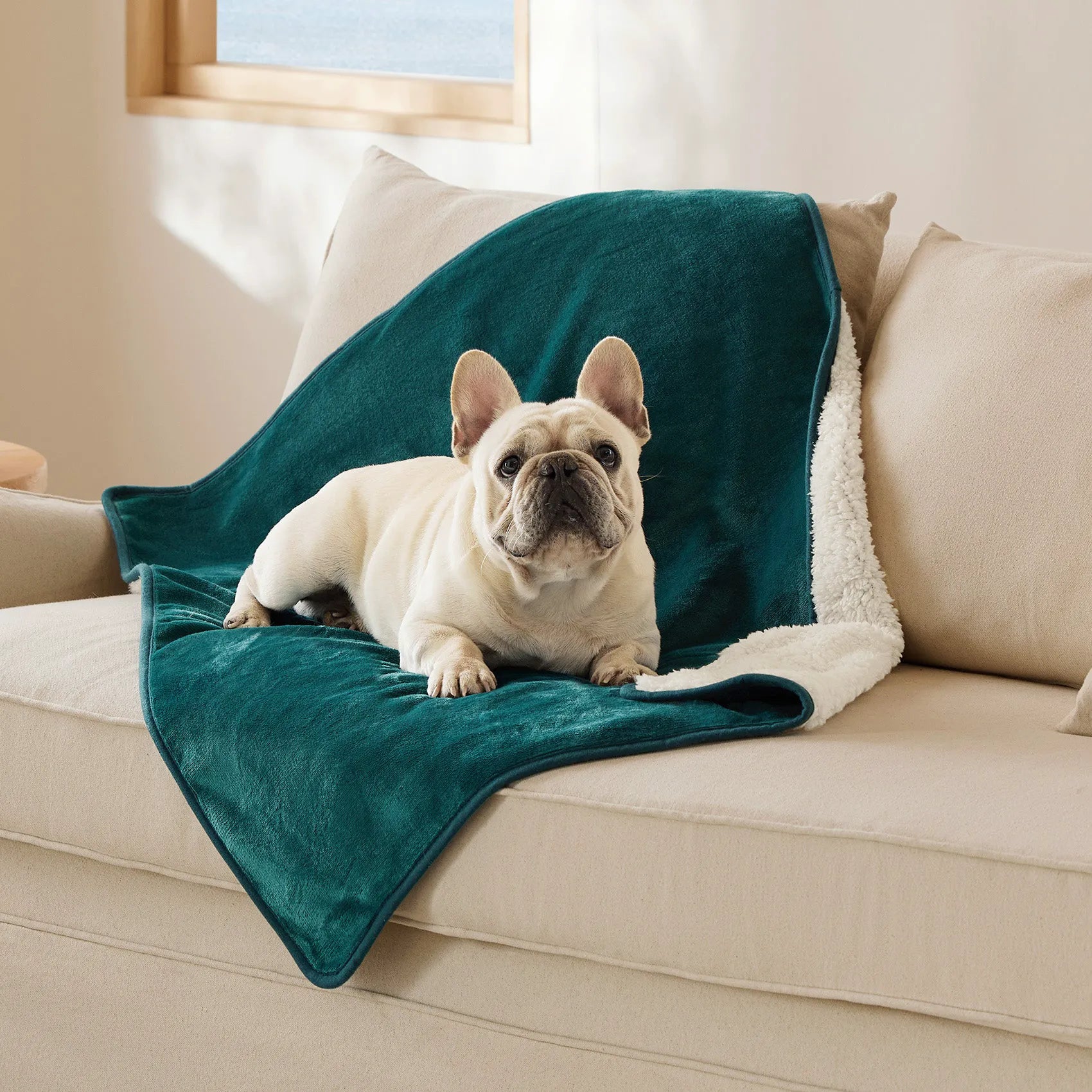 Reversible Sherpa & Microfiber Fleece Dog Blanket