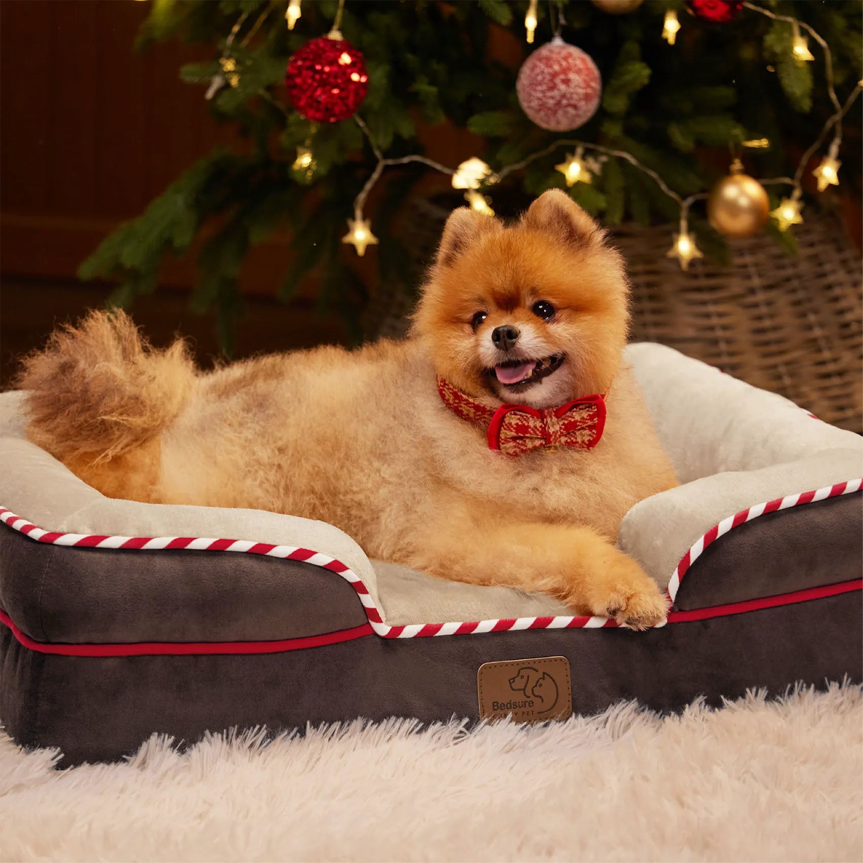Orthopedic Dog Couch