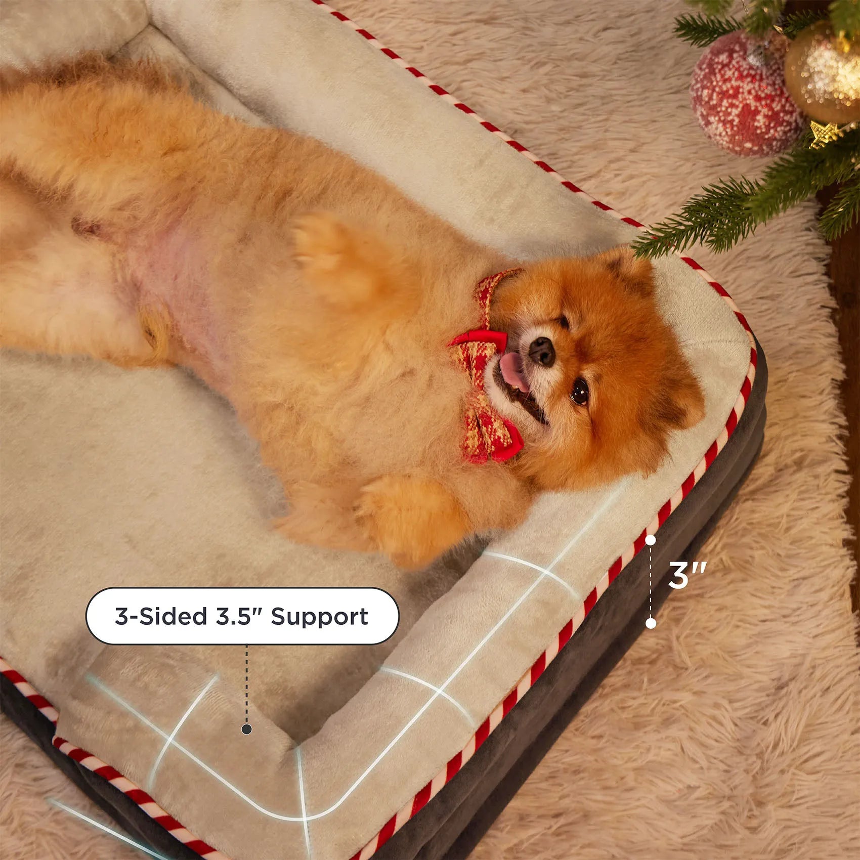 Orthopedic Dog Couch
