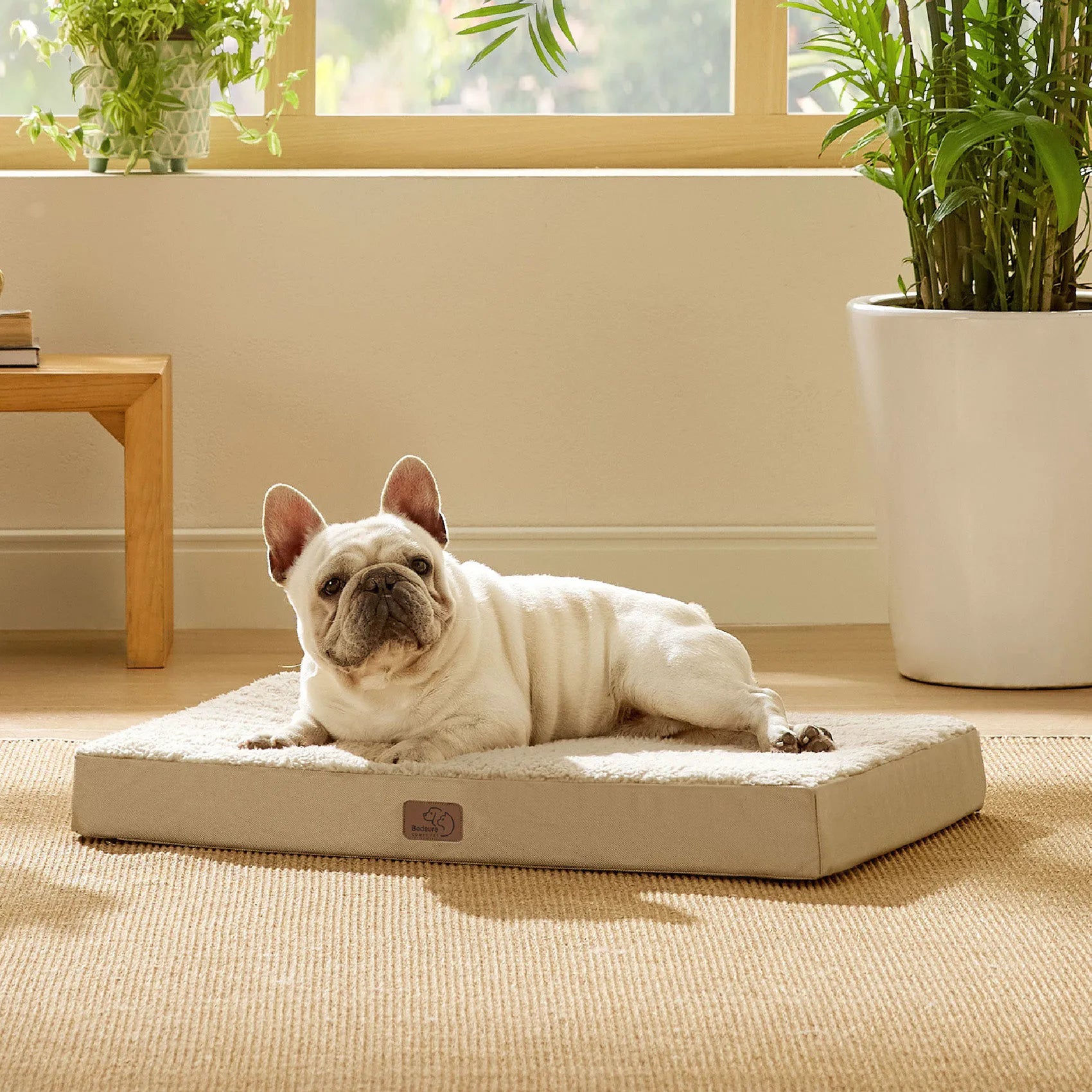 Large Washable Orthopedic Dog Bed