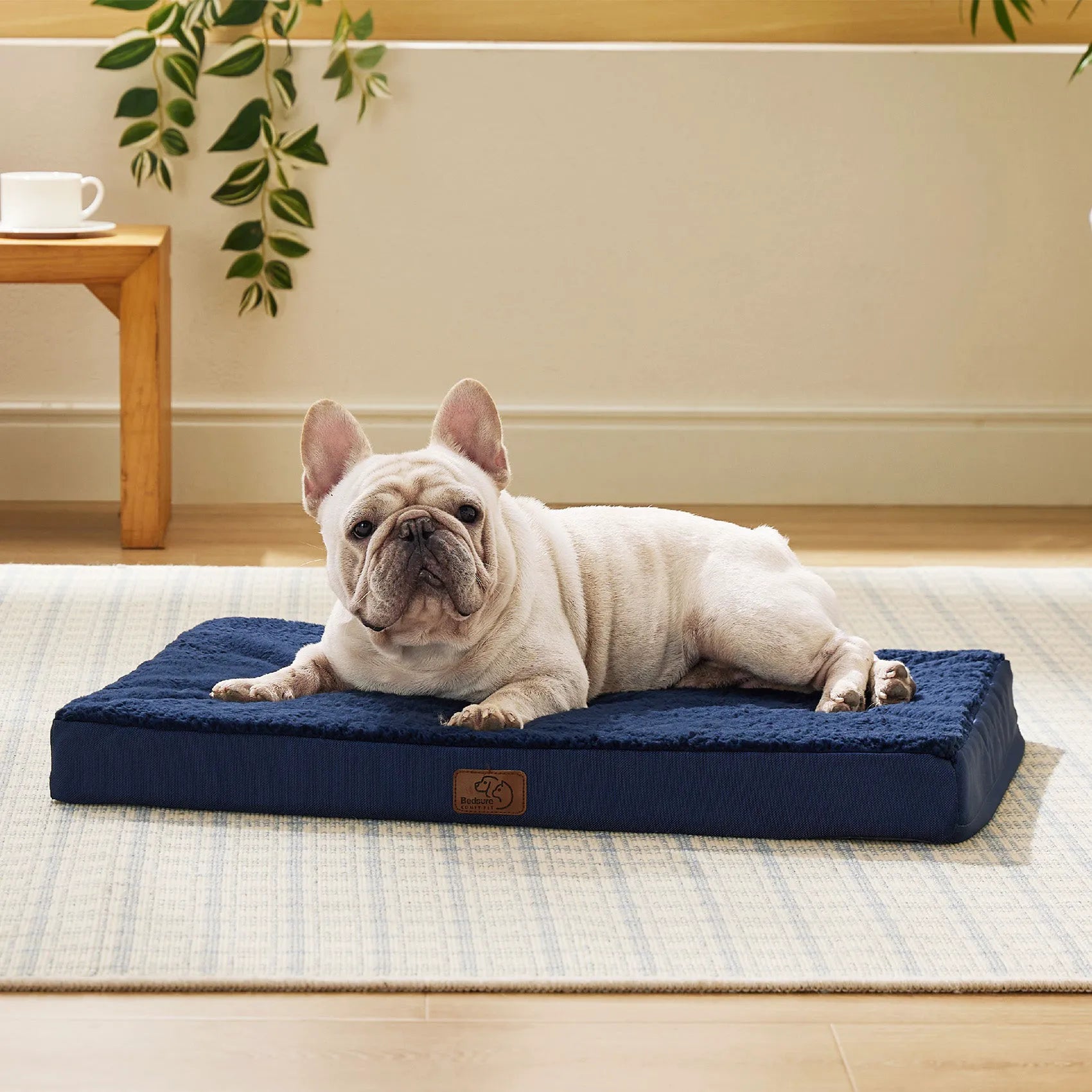 Large Washable Orthopedic Dog Bed