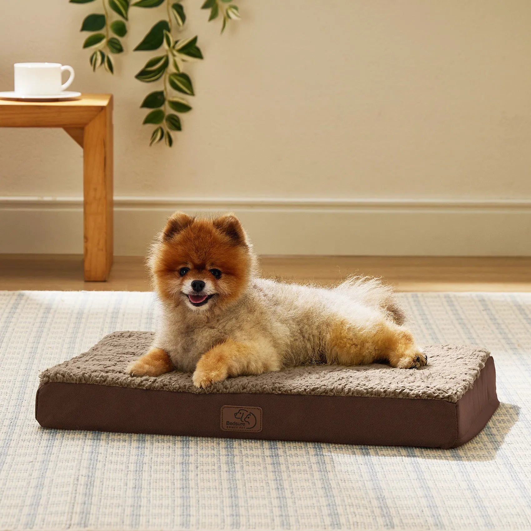 Large Washable Orthopedic Dog Bed