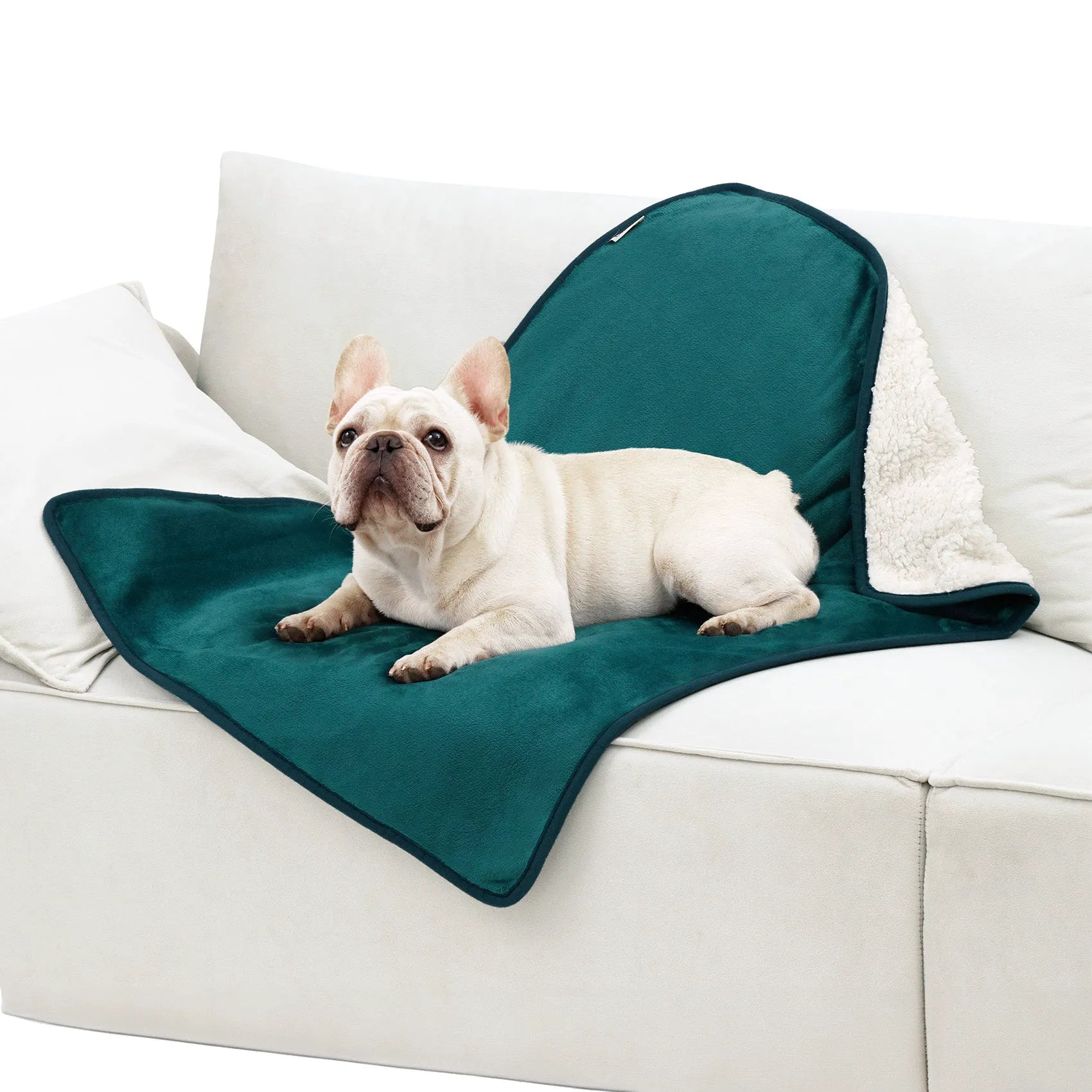 Reversible Sherpa & Microfiber Fleece Dog Blanket