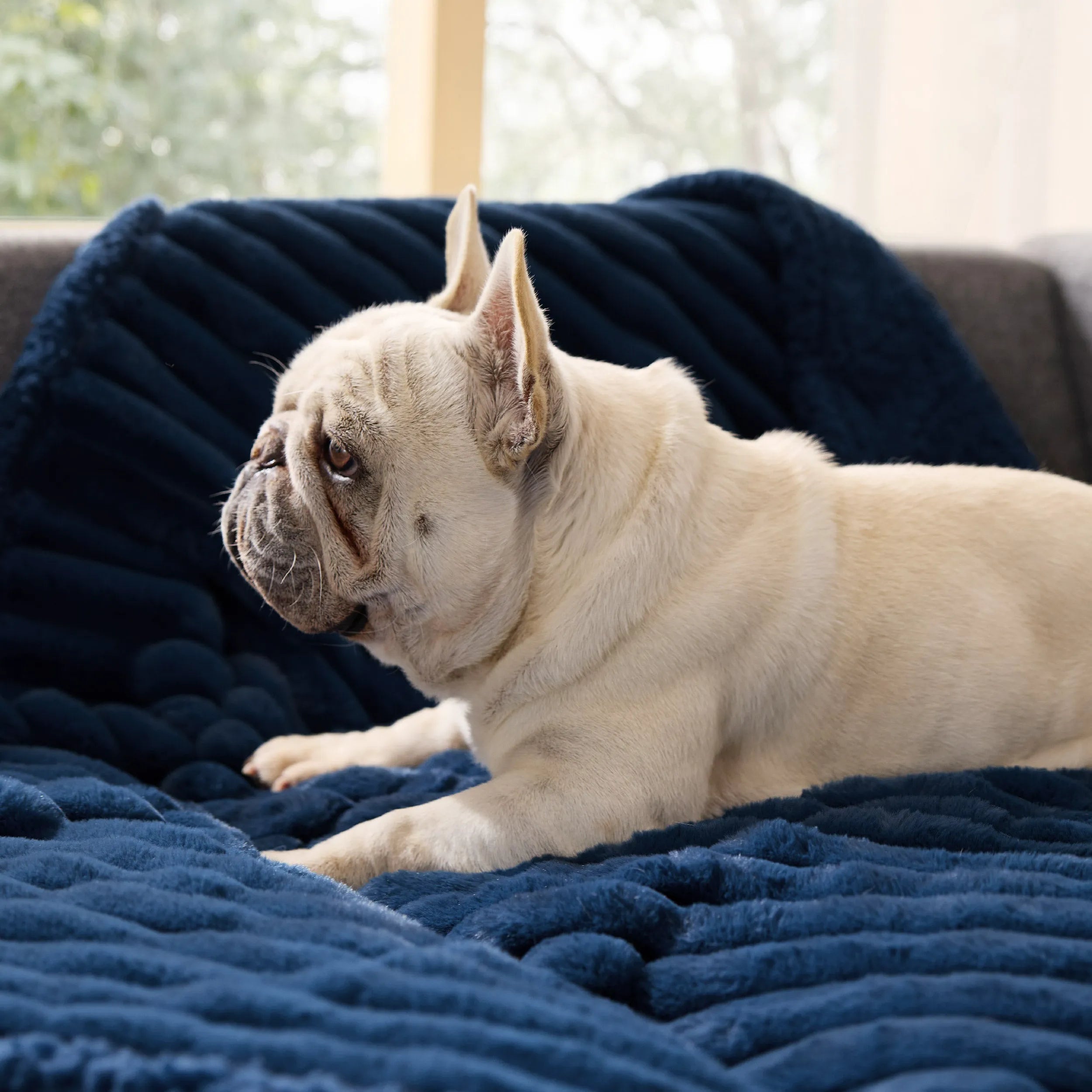 ComfyFleece™ Waterproof Pet Blanket