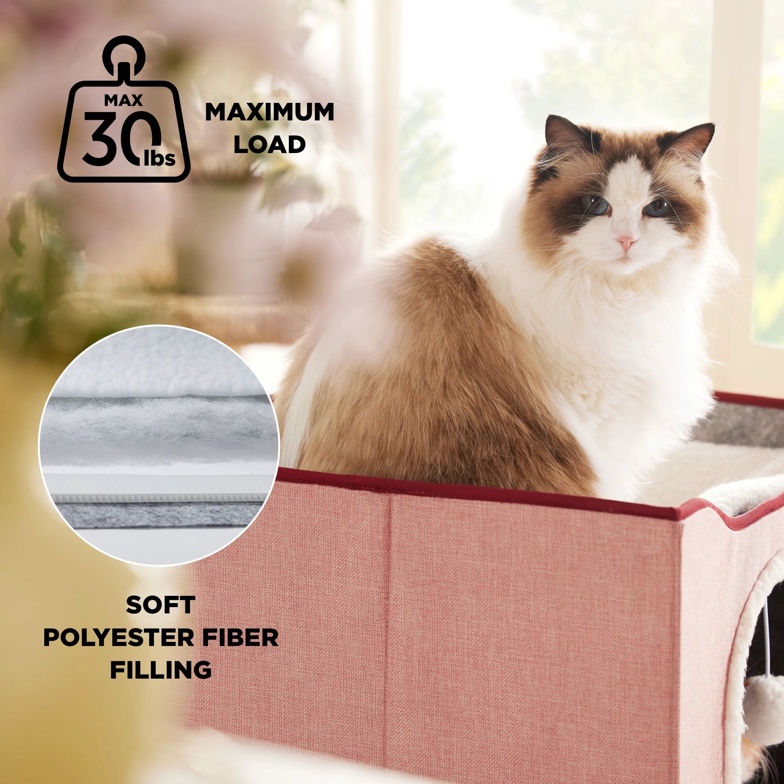 Indoor Cat Bed and House for Pets