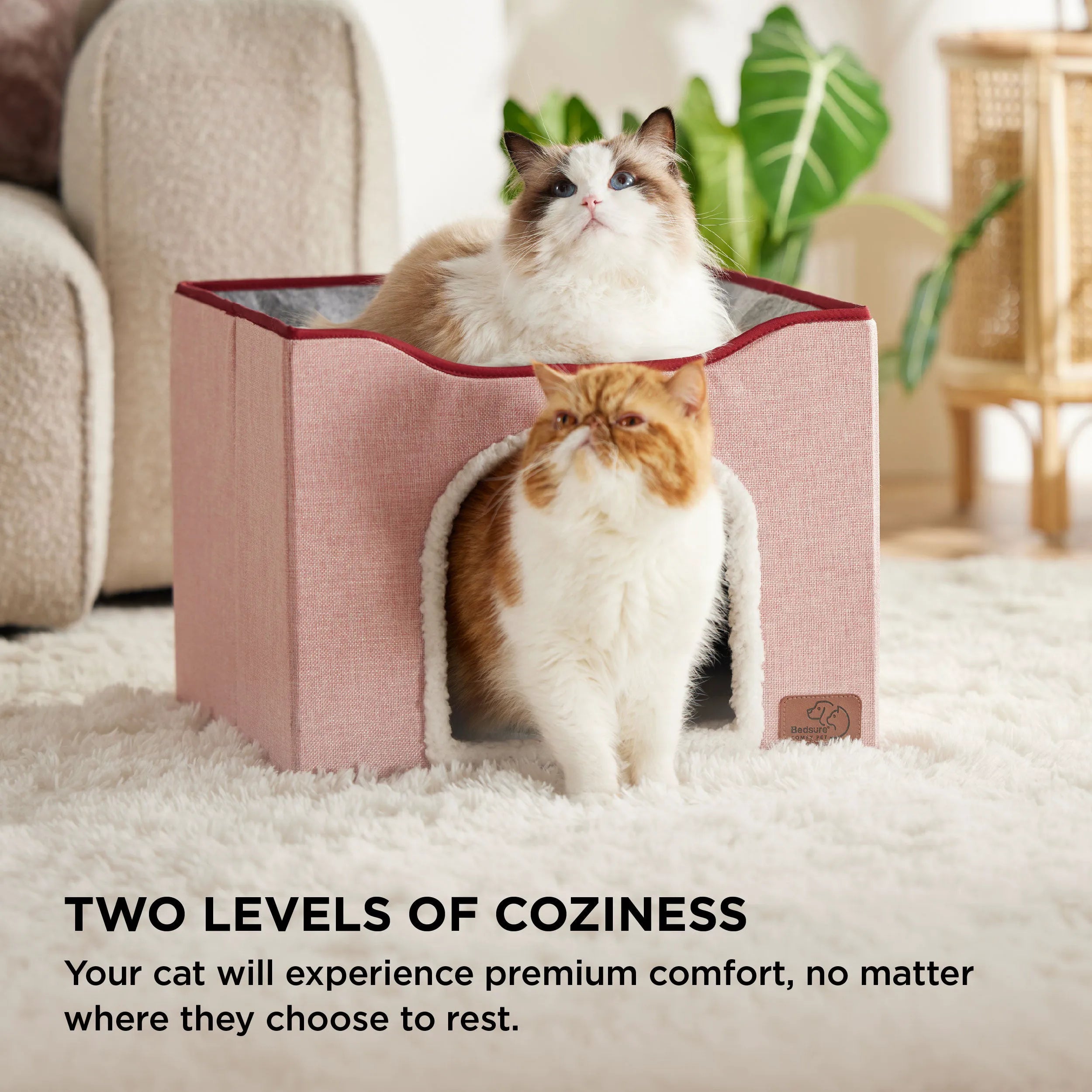 Indoor Cat Bed and House for Pets