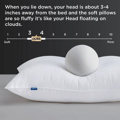 Hotel-Quality Pillows