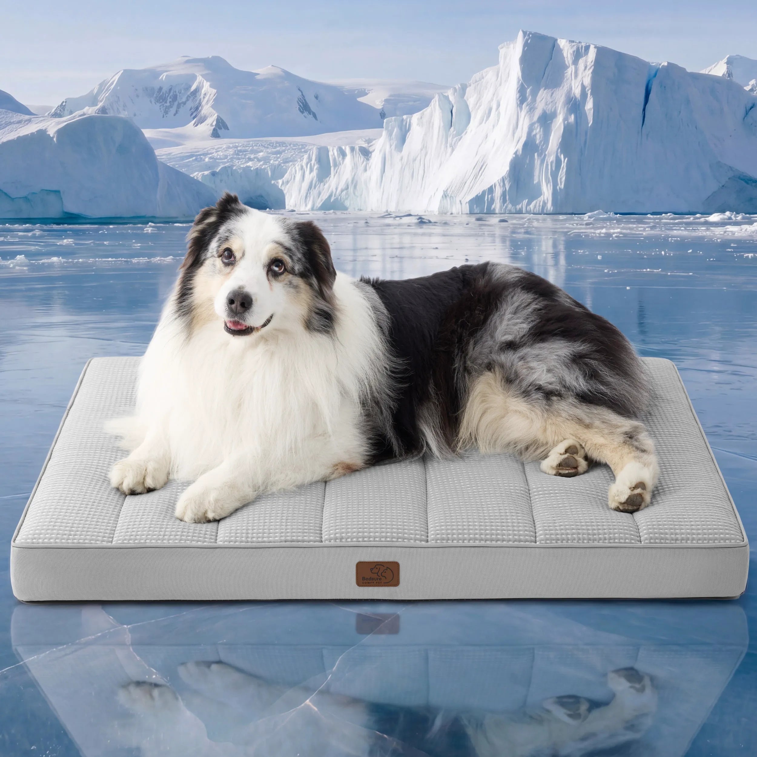 Orthopedic Cooling Dog Bed