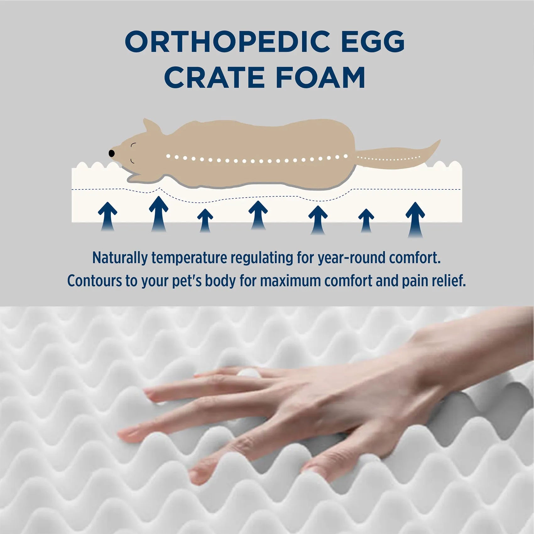 Large Washable Orthopedic Dog Bed