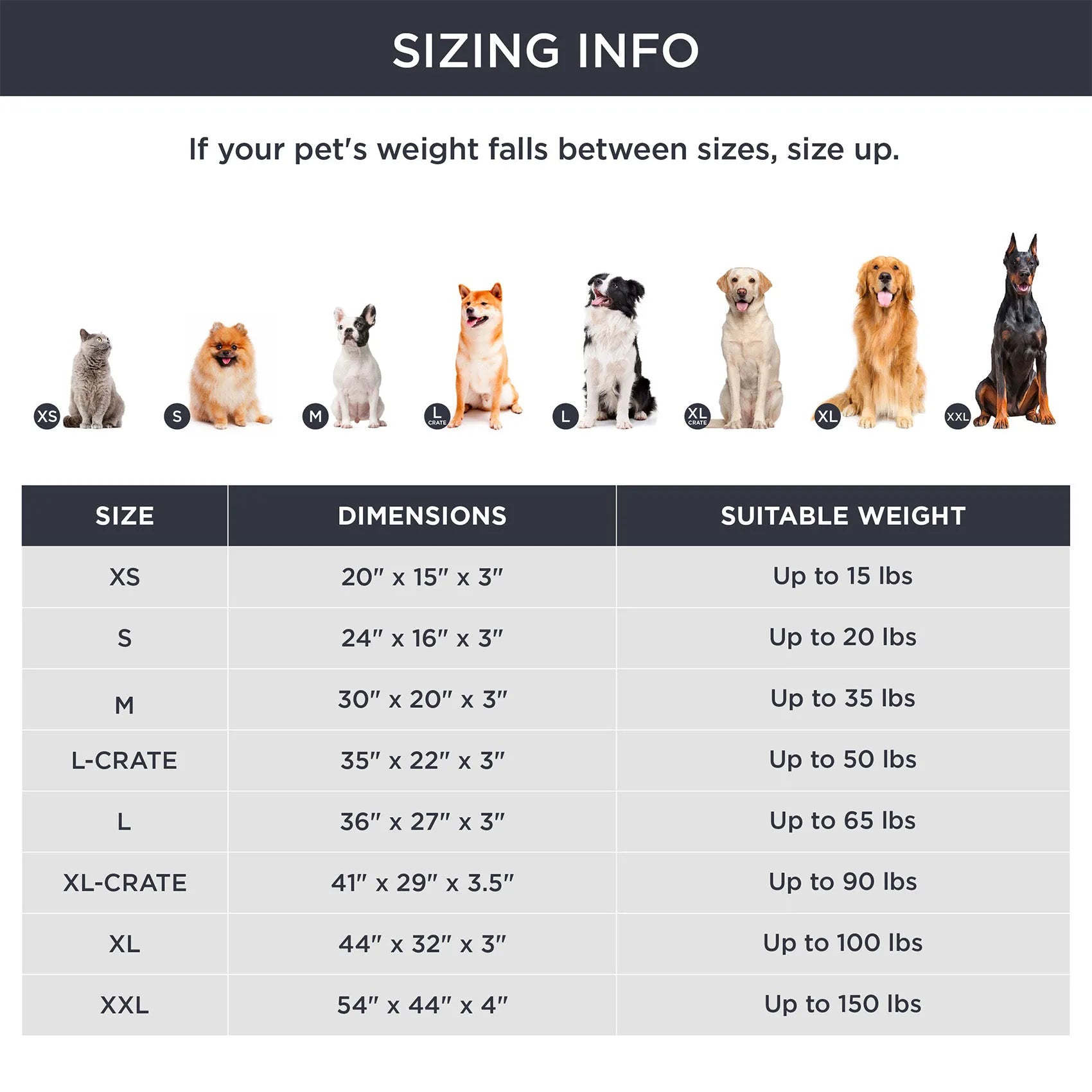 Large Washable Orthopedic Dog Bed