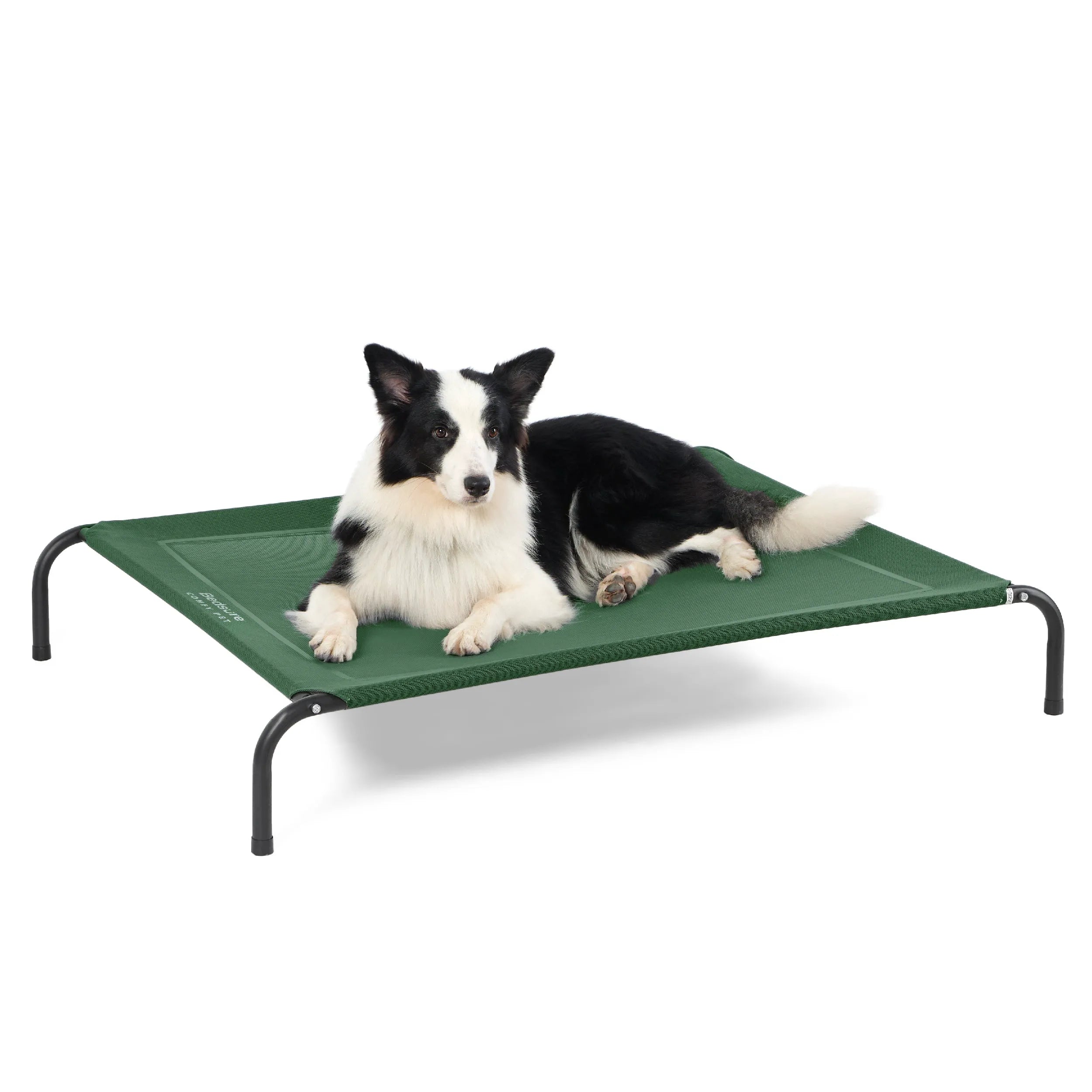 Raised Dog Bed