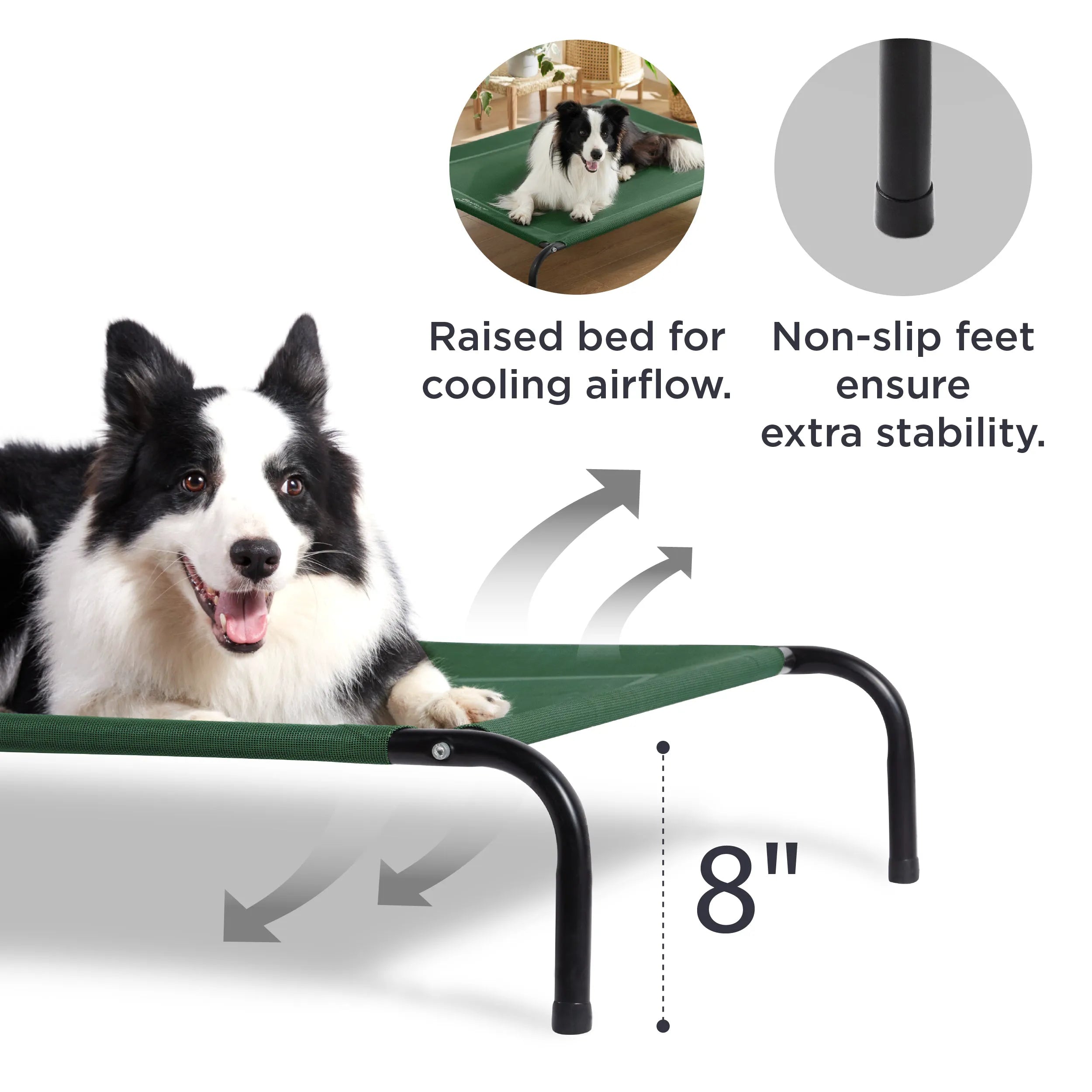 Raised Dog Bed