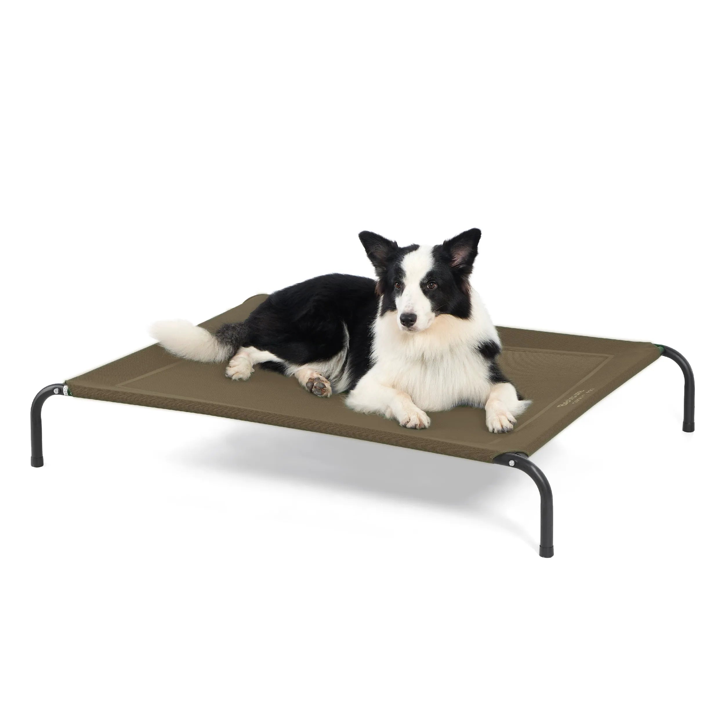 Raised Dog Bed