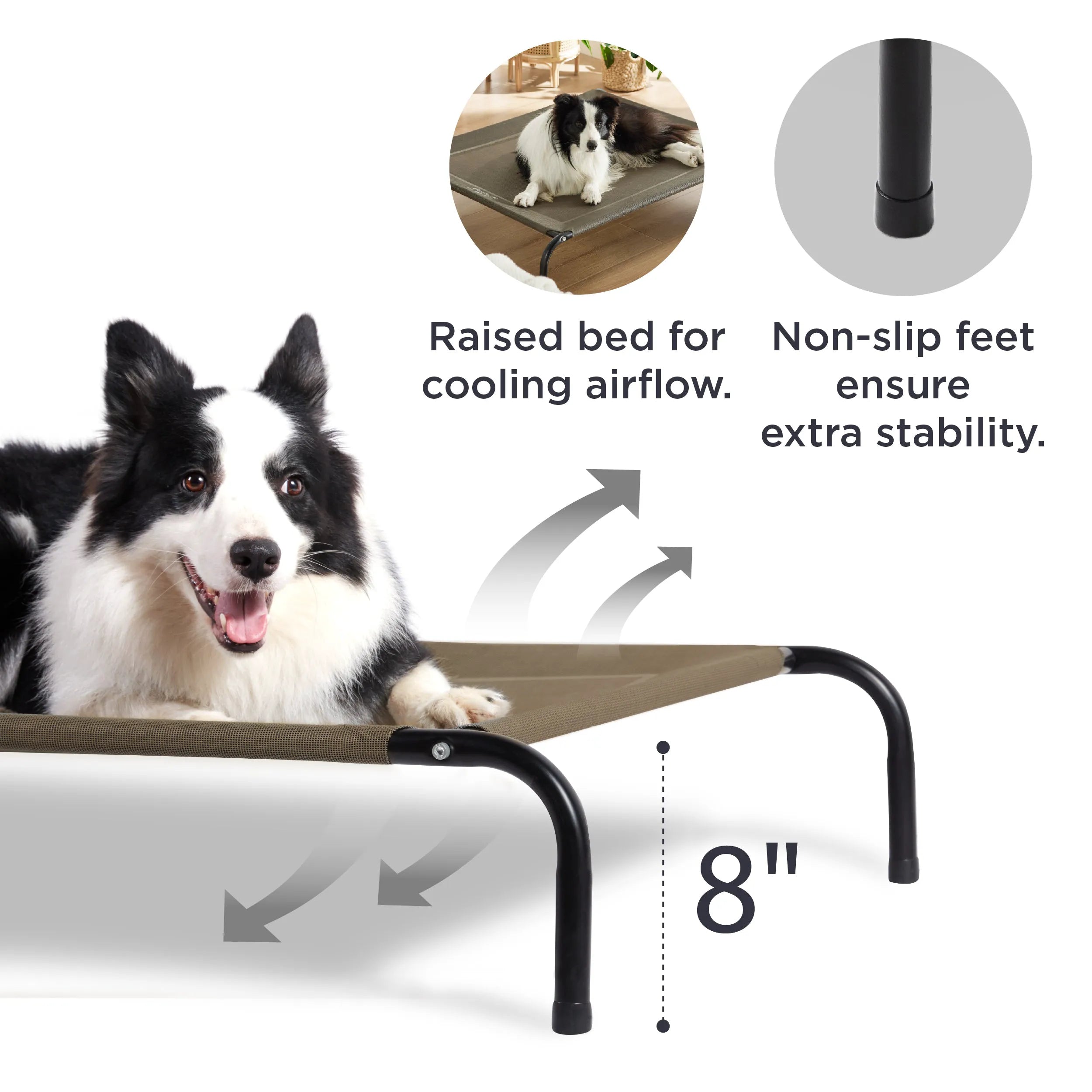 Raised Dog Bed