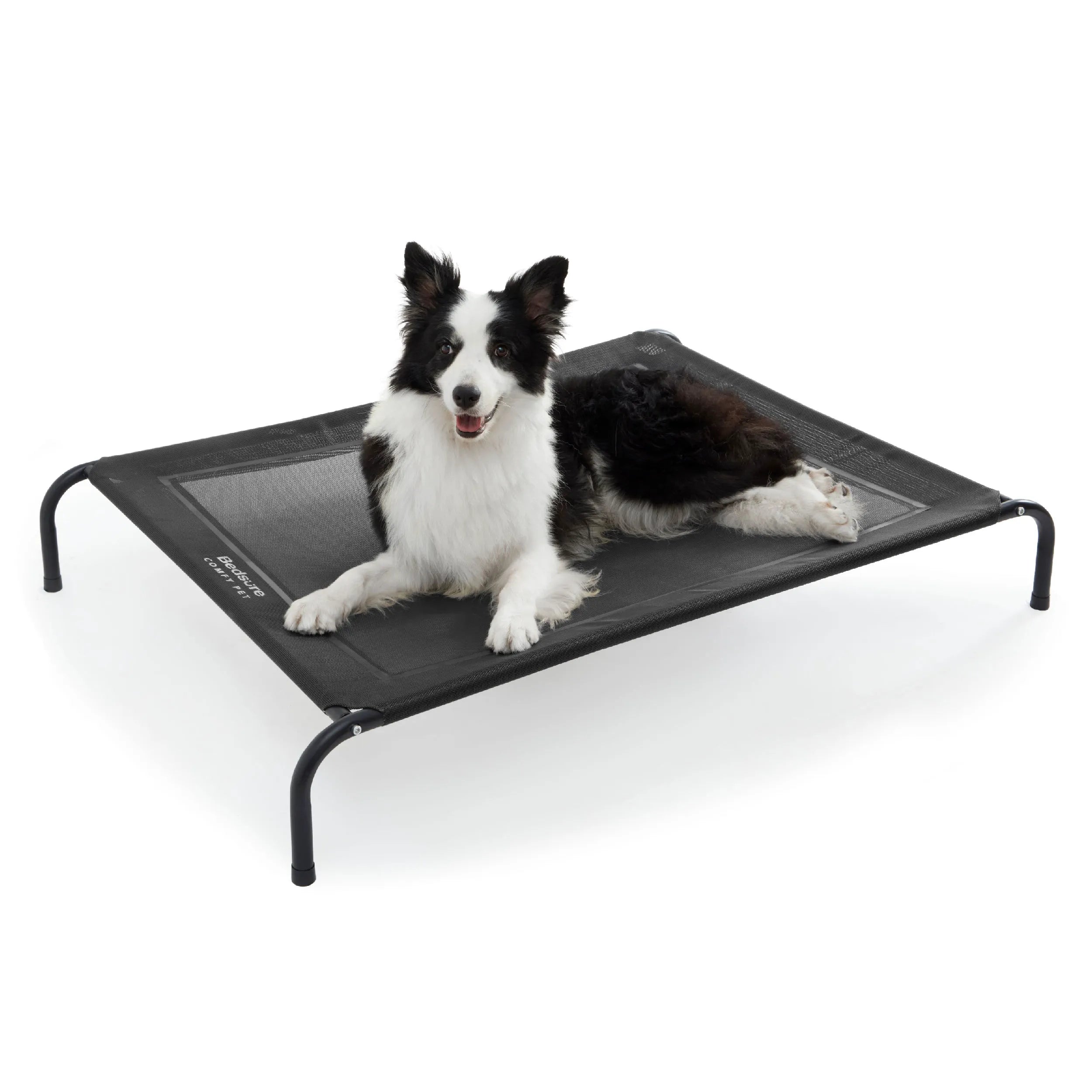 Raised Dog Bed