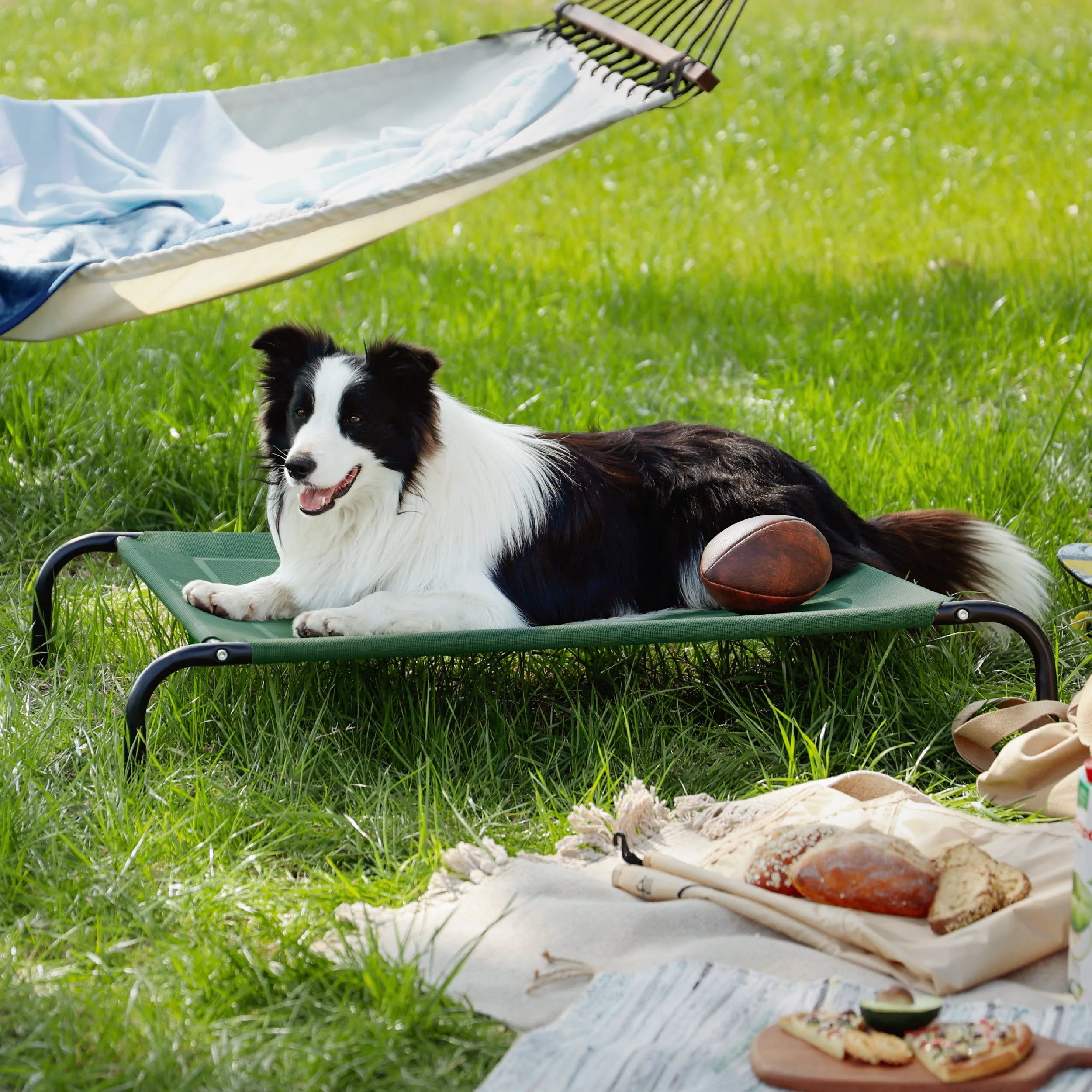 Raised Dog Bed