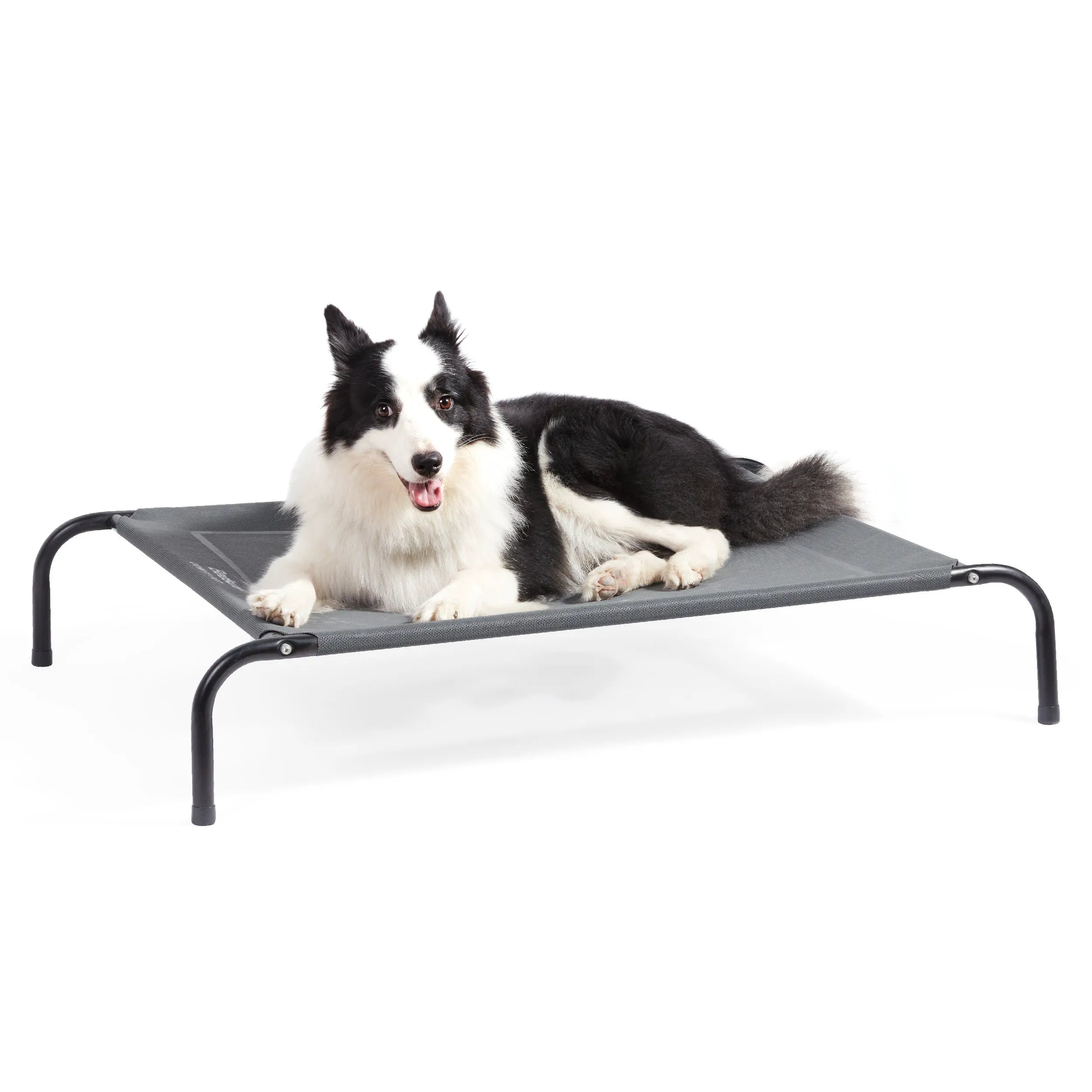 Raised Dog Bed