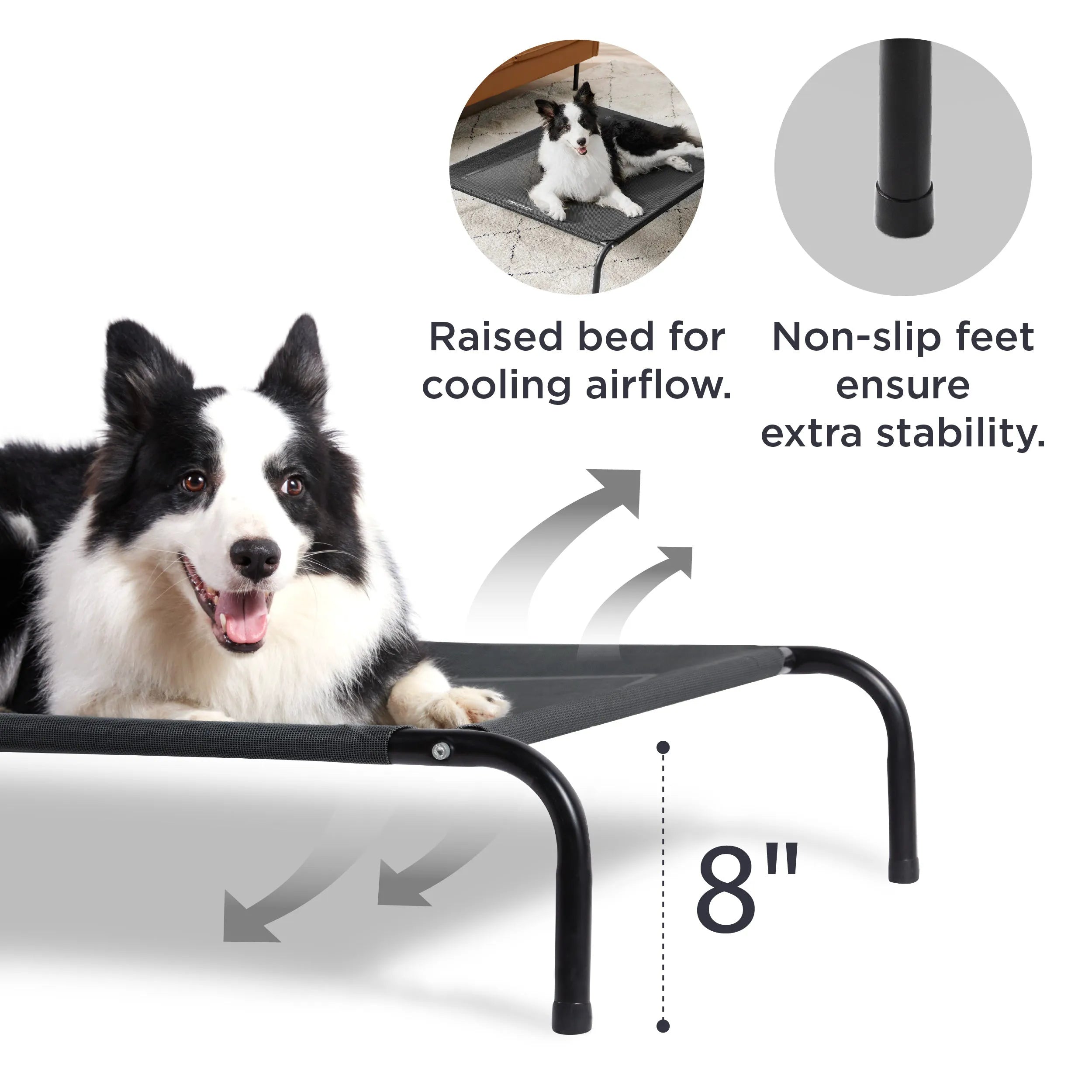 Raised Dog Bed