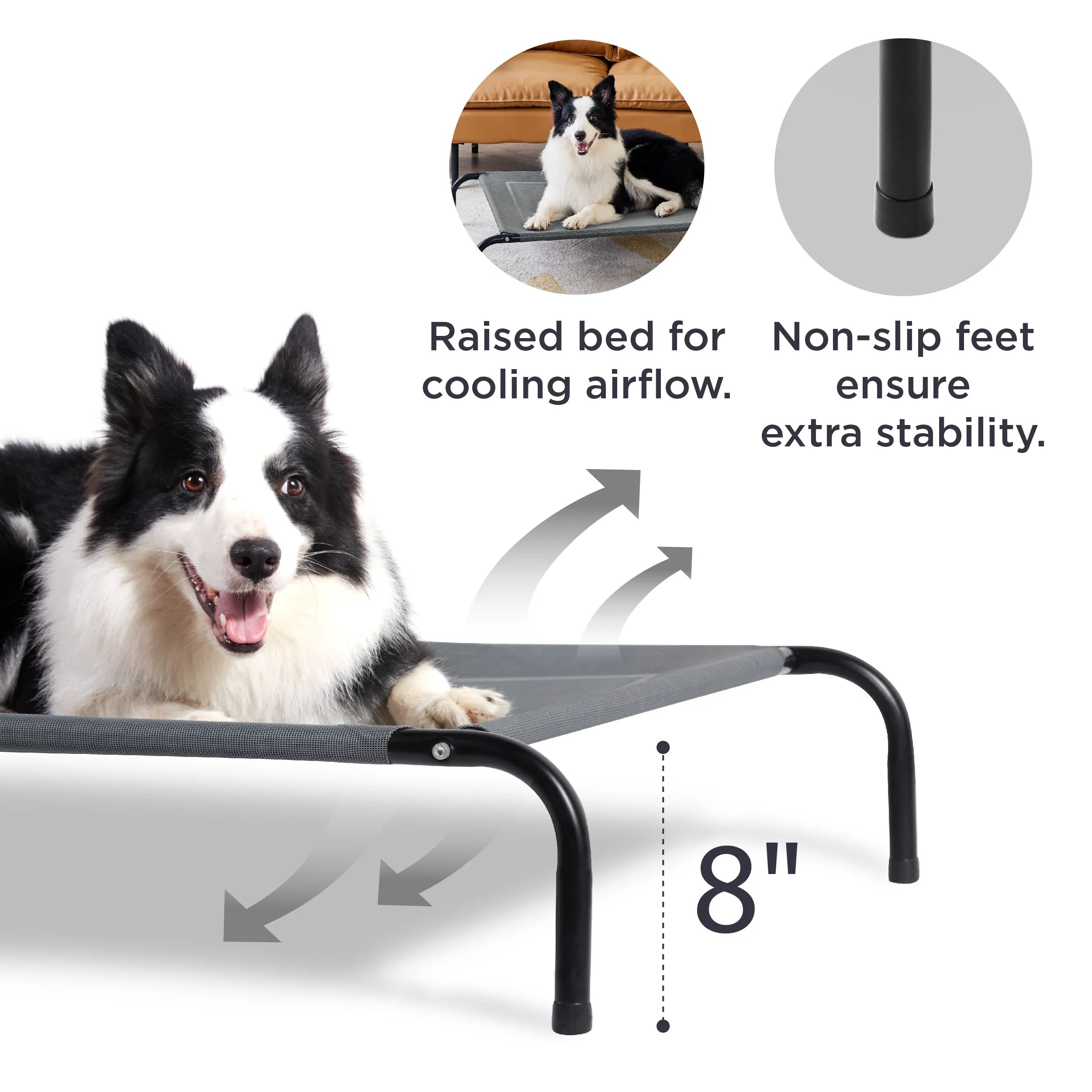 Raised Dog Bed
