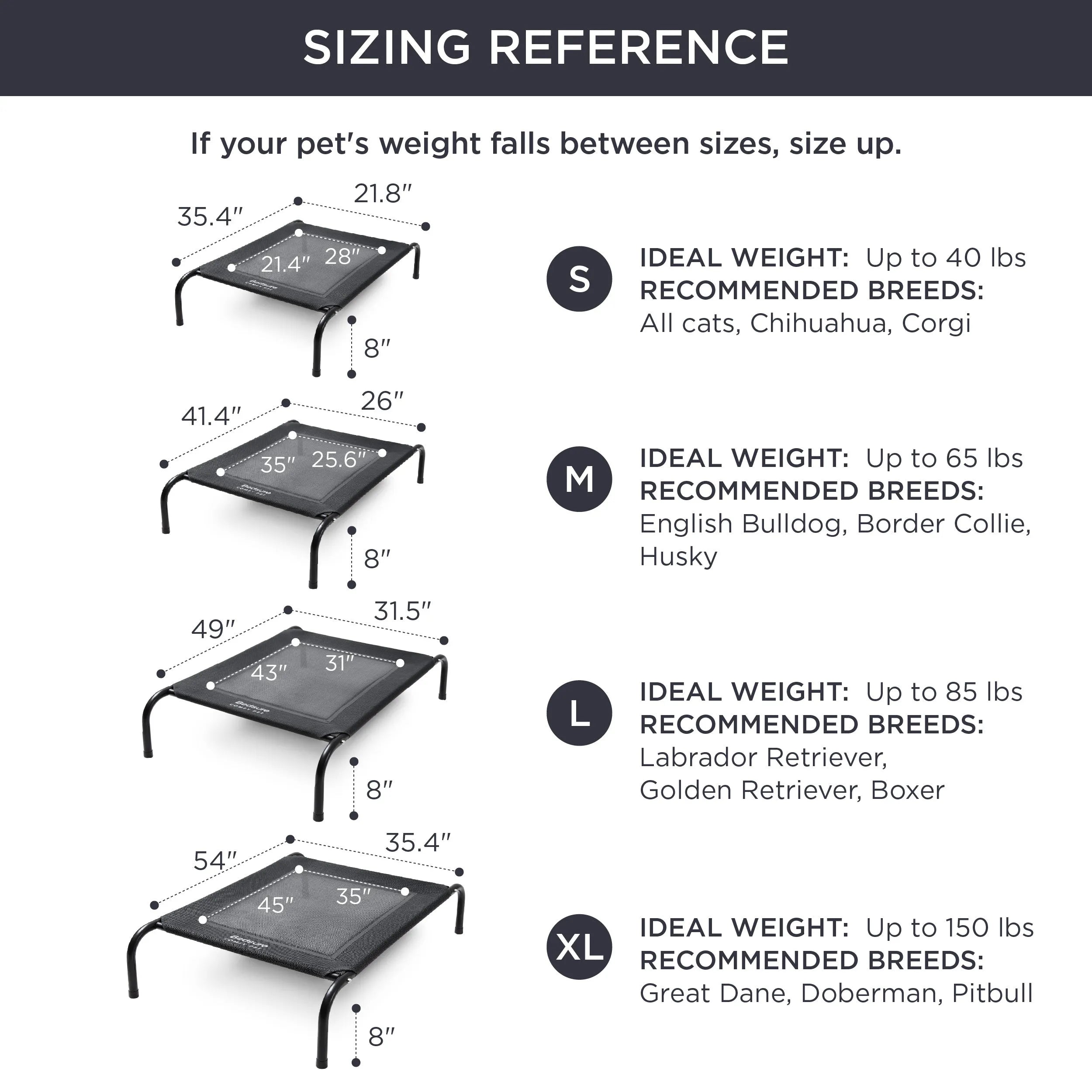 Raised Dog Bed