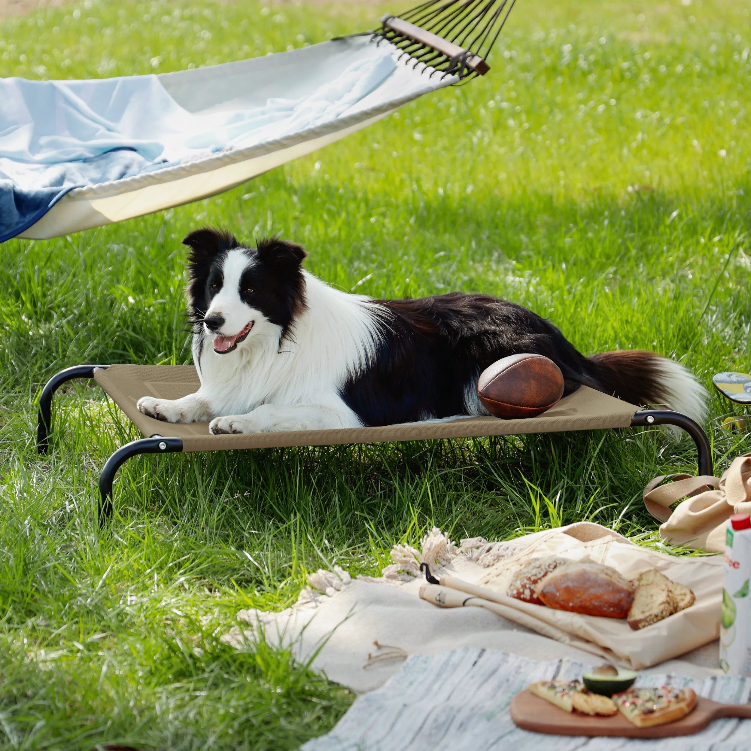 Raised Dog Bed