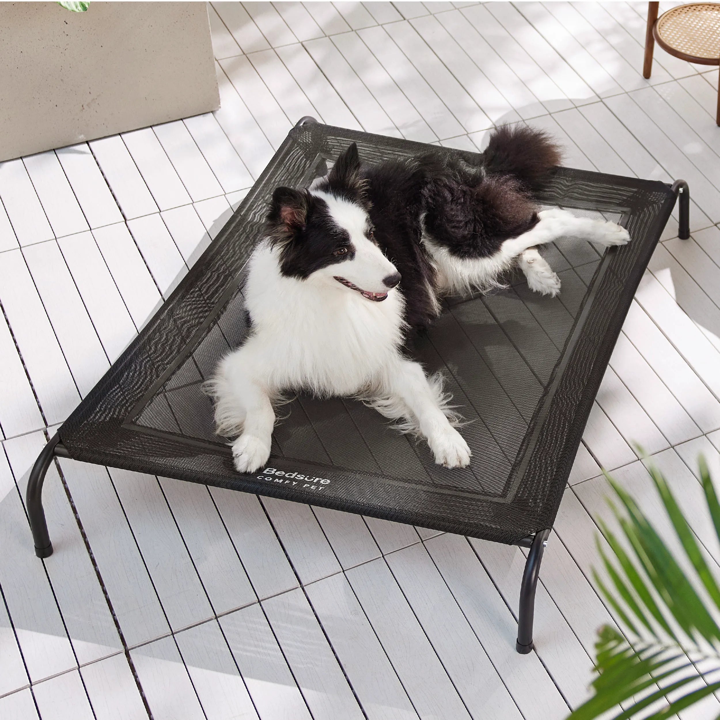 Raised Dog Bed