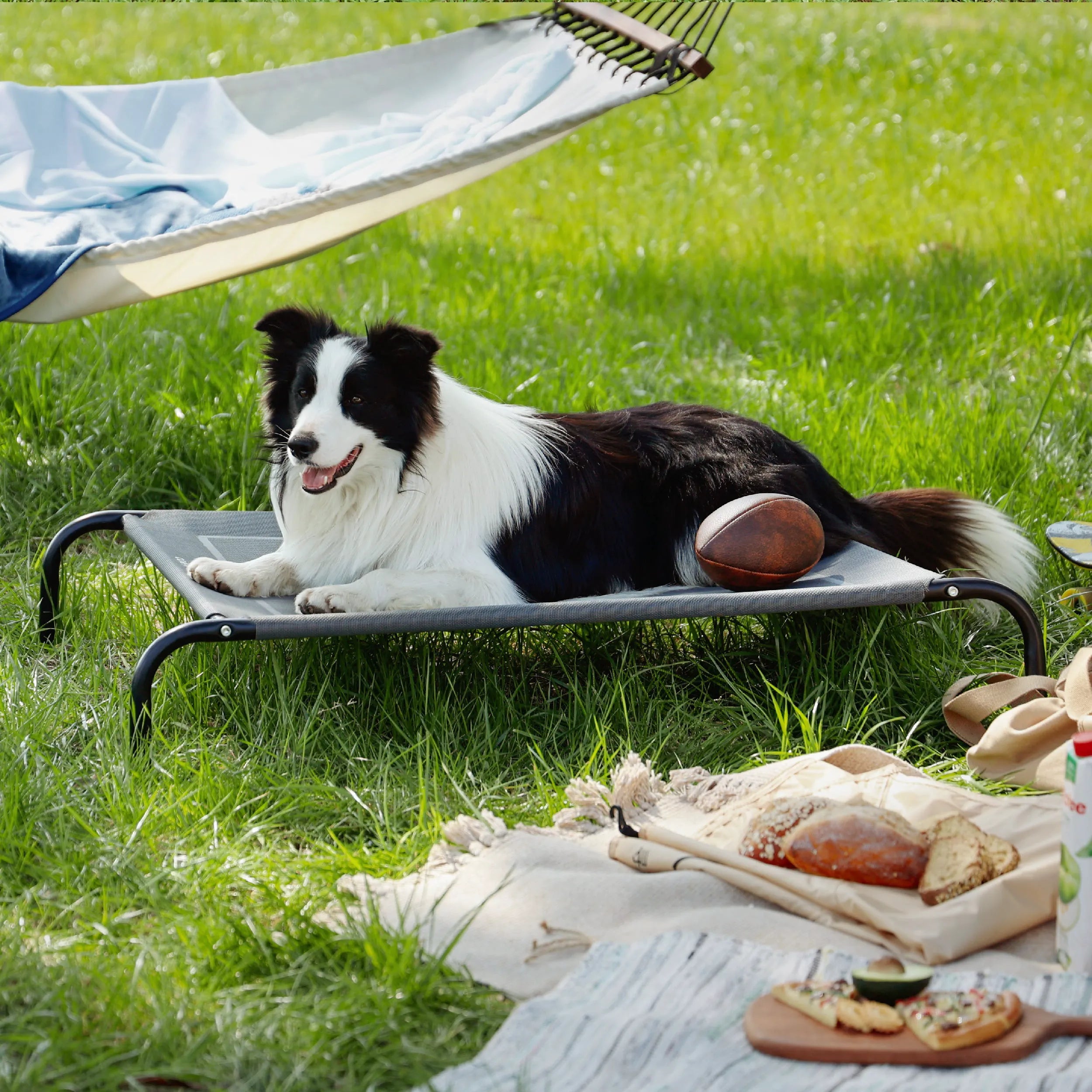 Raised Dog Bed