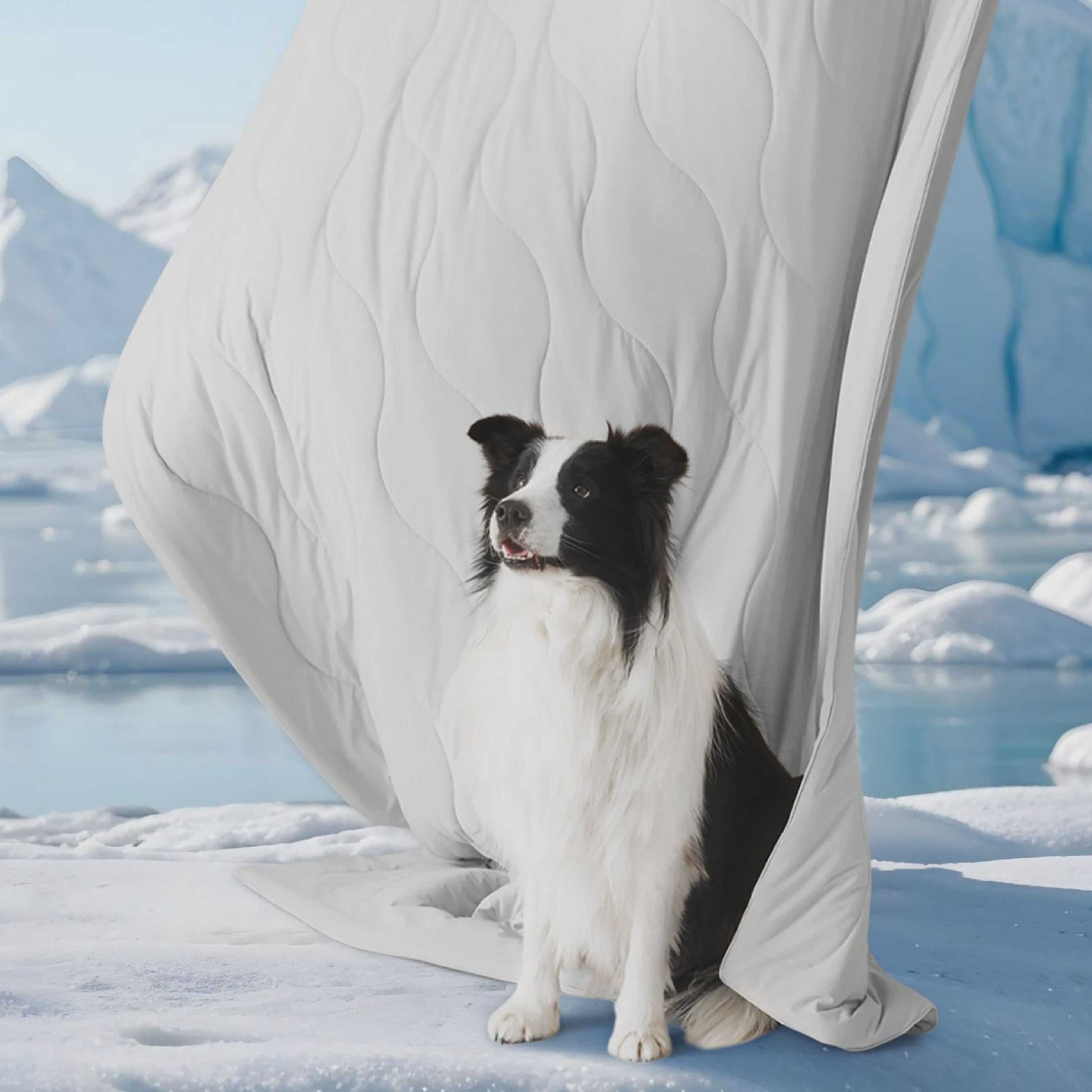 Gourd Cooling Pet Blanket