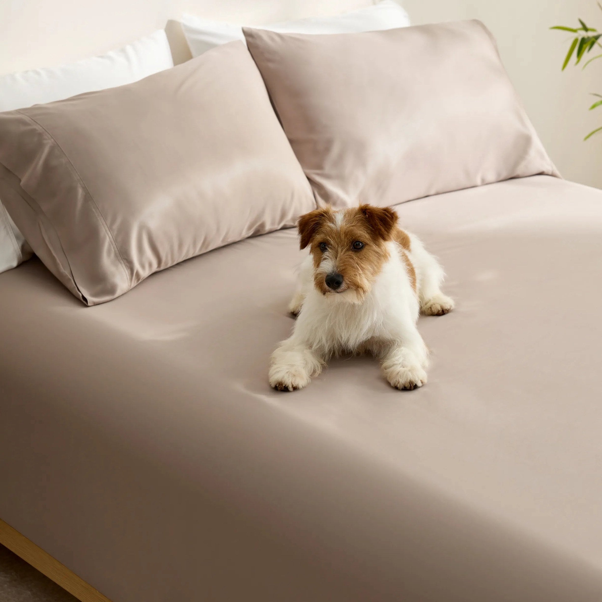 PureWoven™ Organic Bamboo Viscose Fitted Sheet Set