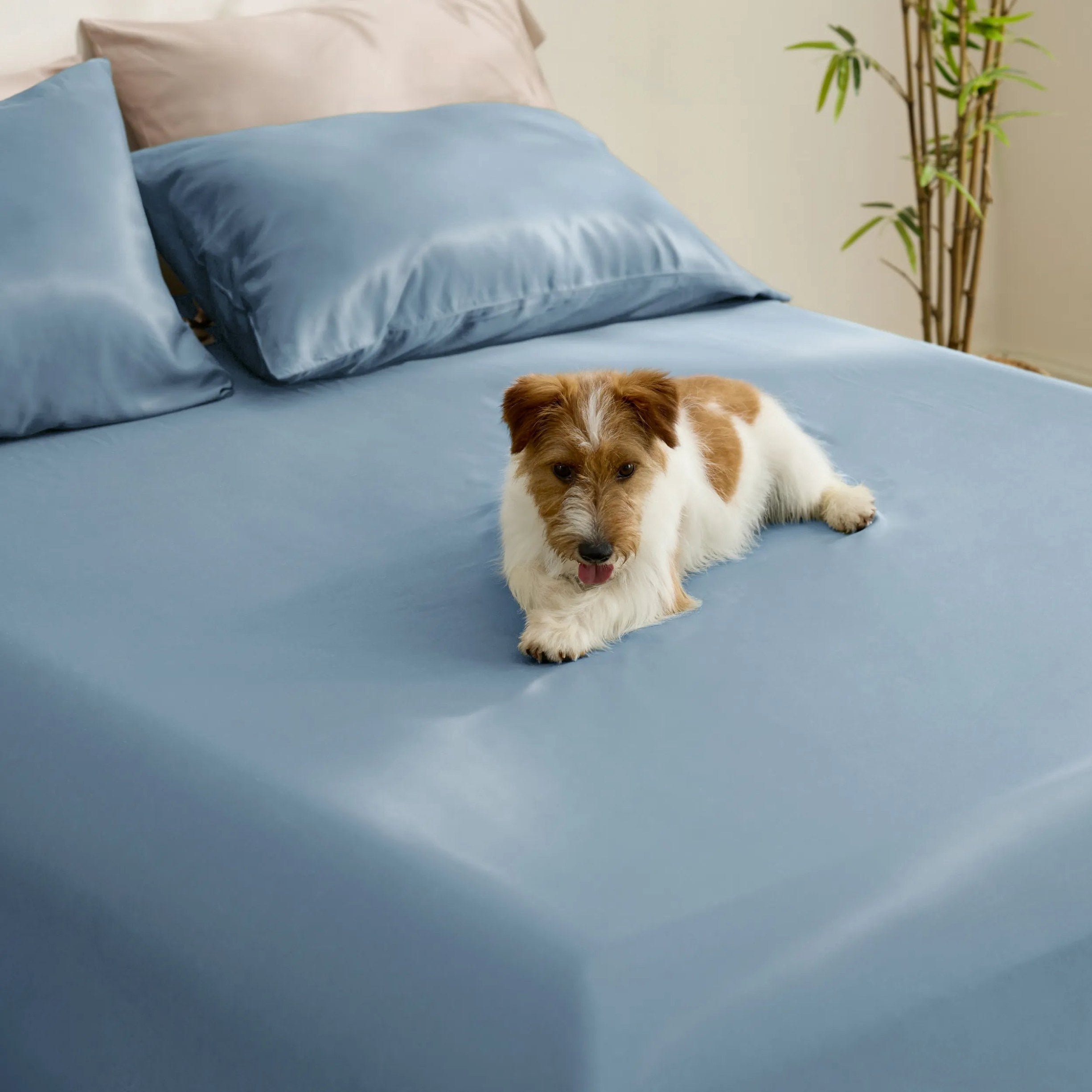 PureWoven™ Organic Bamboo Viscose Fitted Sheet Set