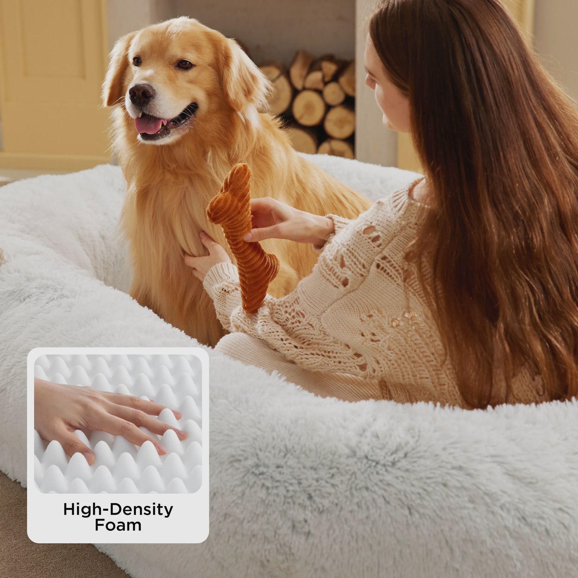Human-Style Dog Bed