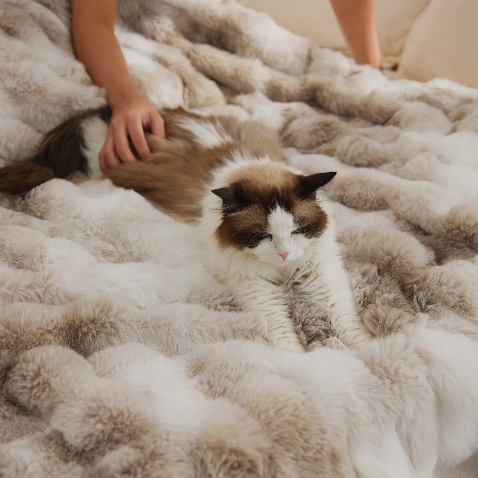 PureWoven™ Serene Blend Plush Luxe Bundle