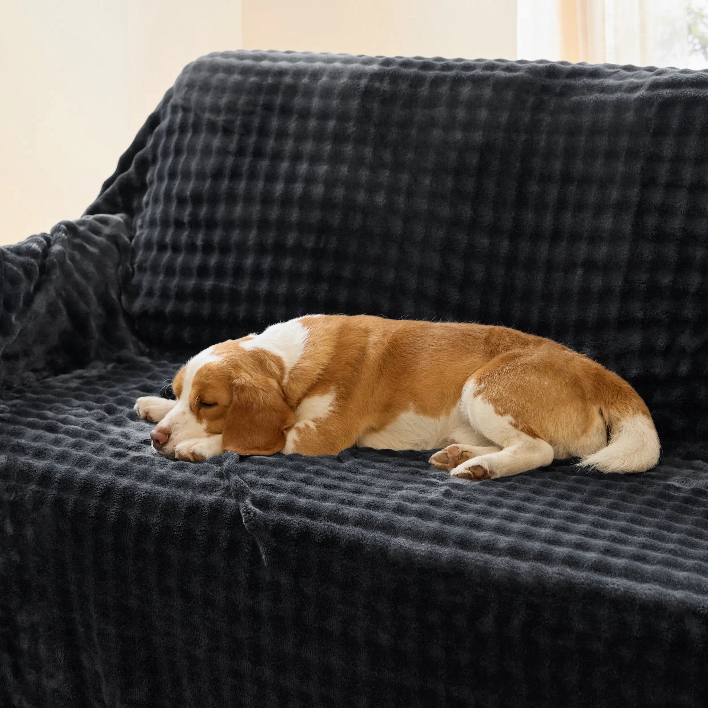 Waterproof Bubble Blanket