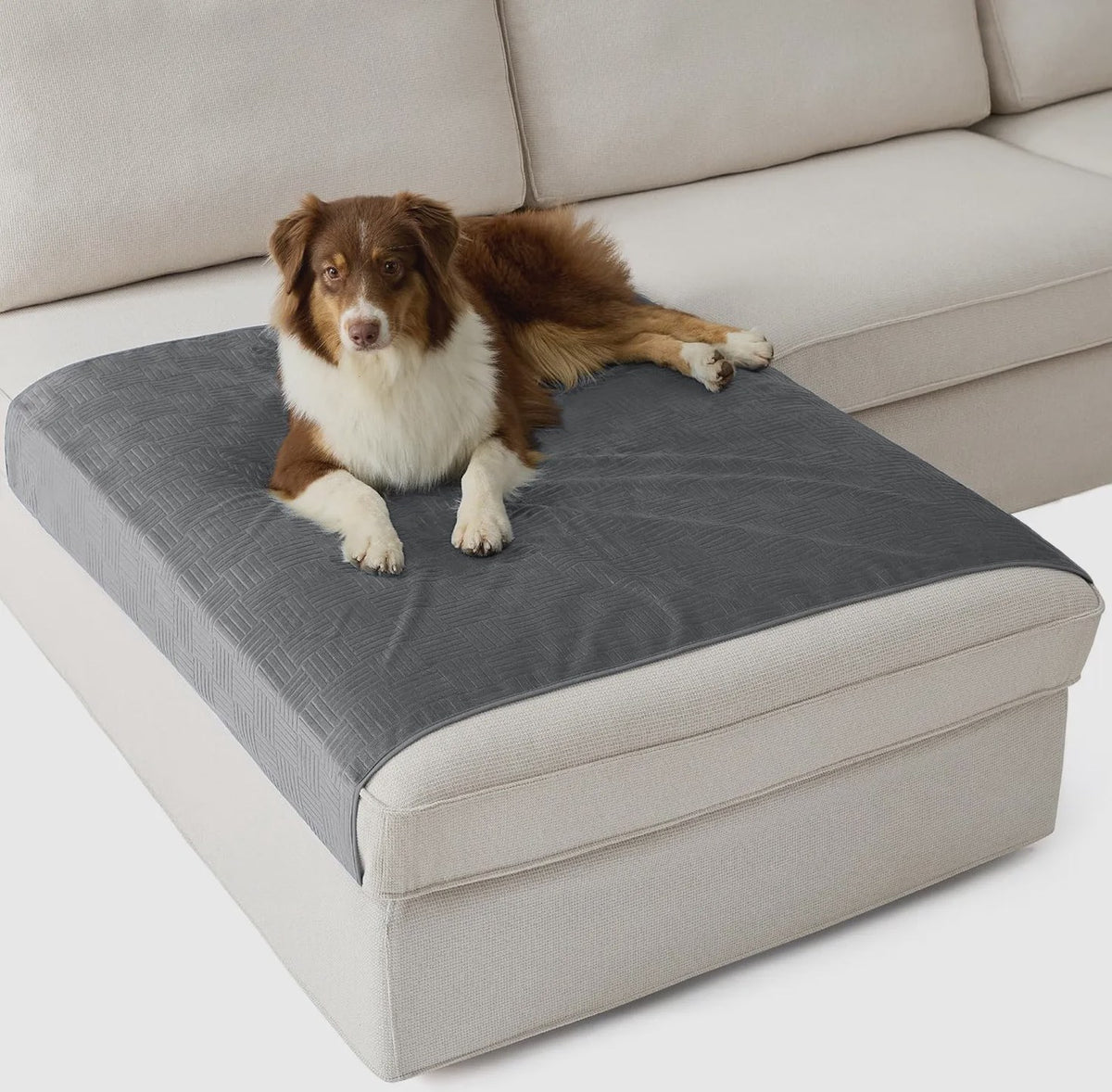 Lightweight Couch Cover for Pets