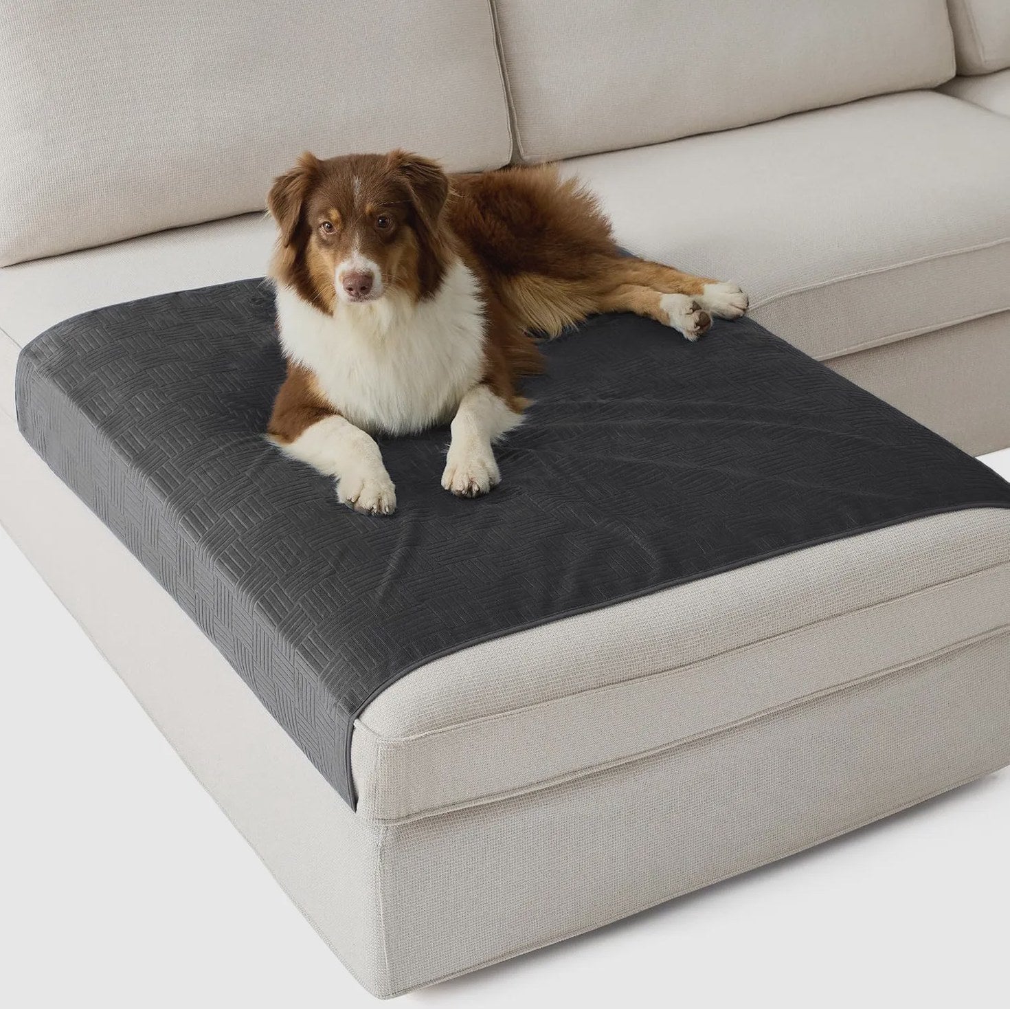 Lightweight Couch Cover for Pets