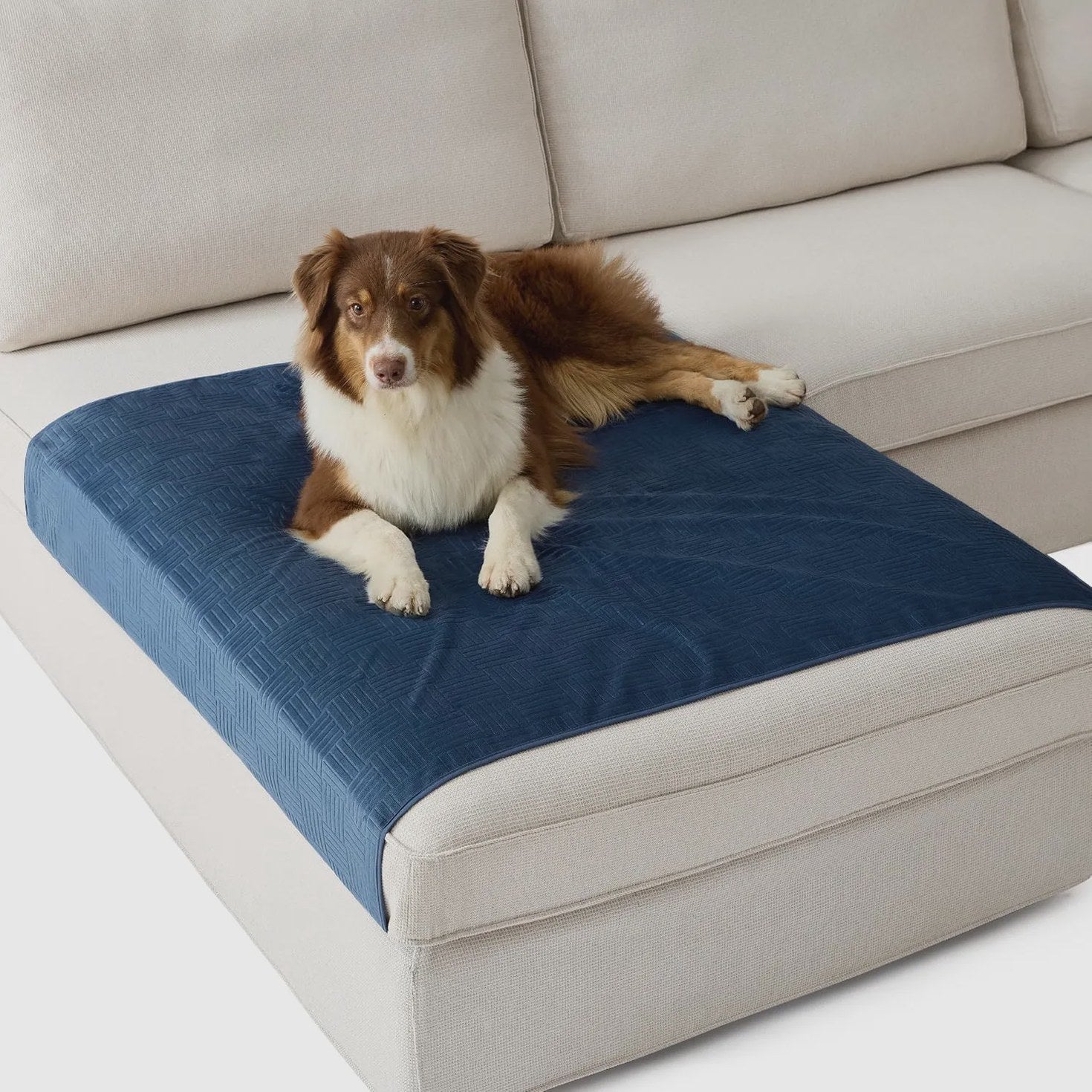 Lightweight Couch Cover for Pets