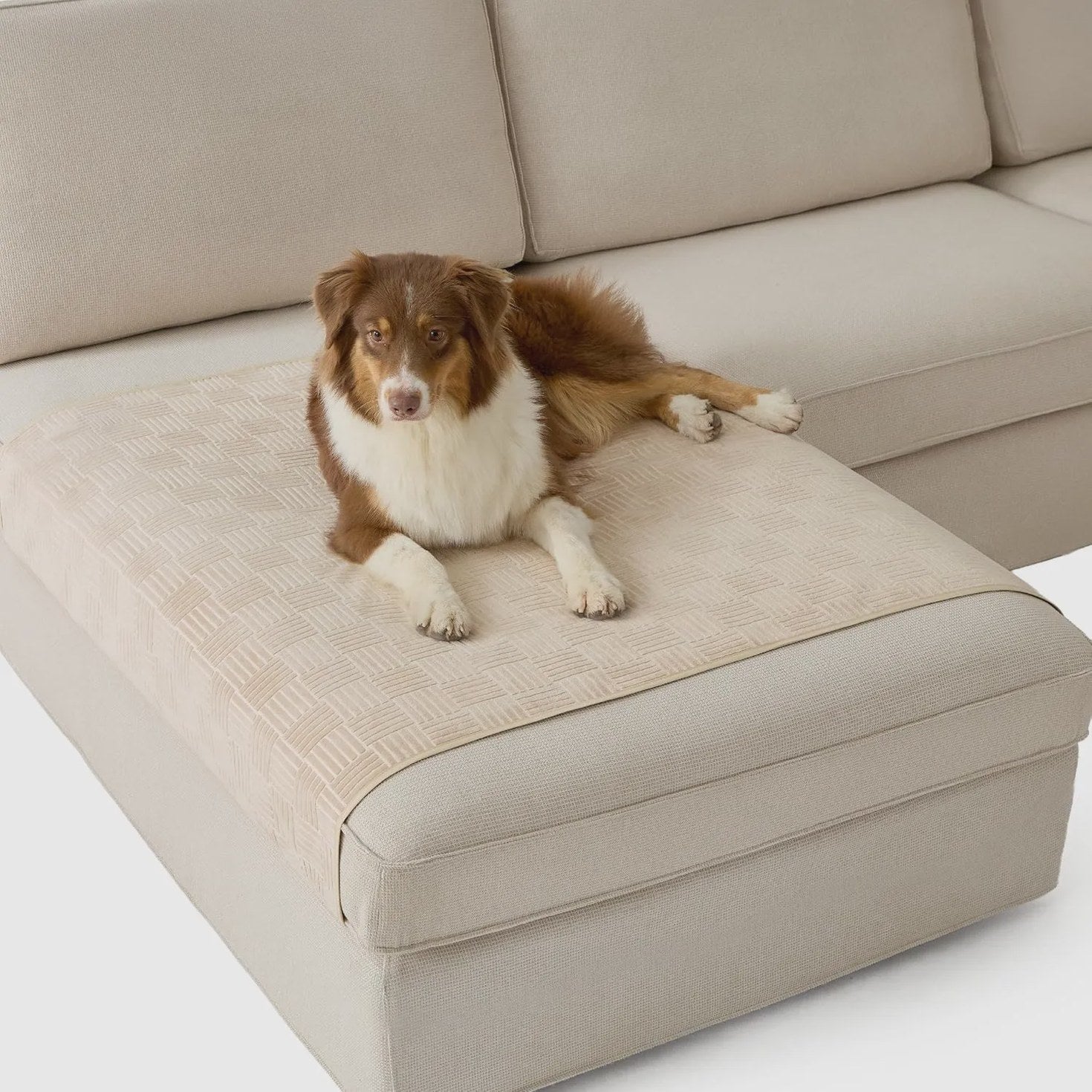Lightweight Couch Cover for Pets