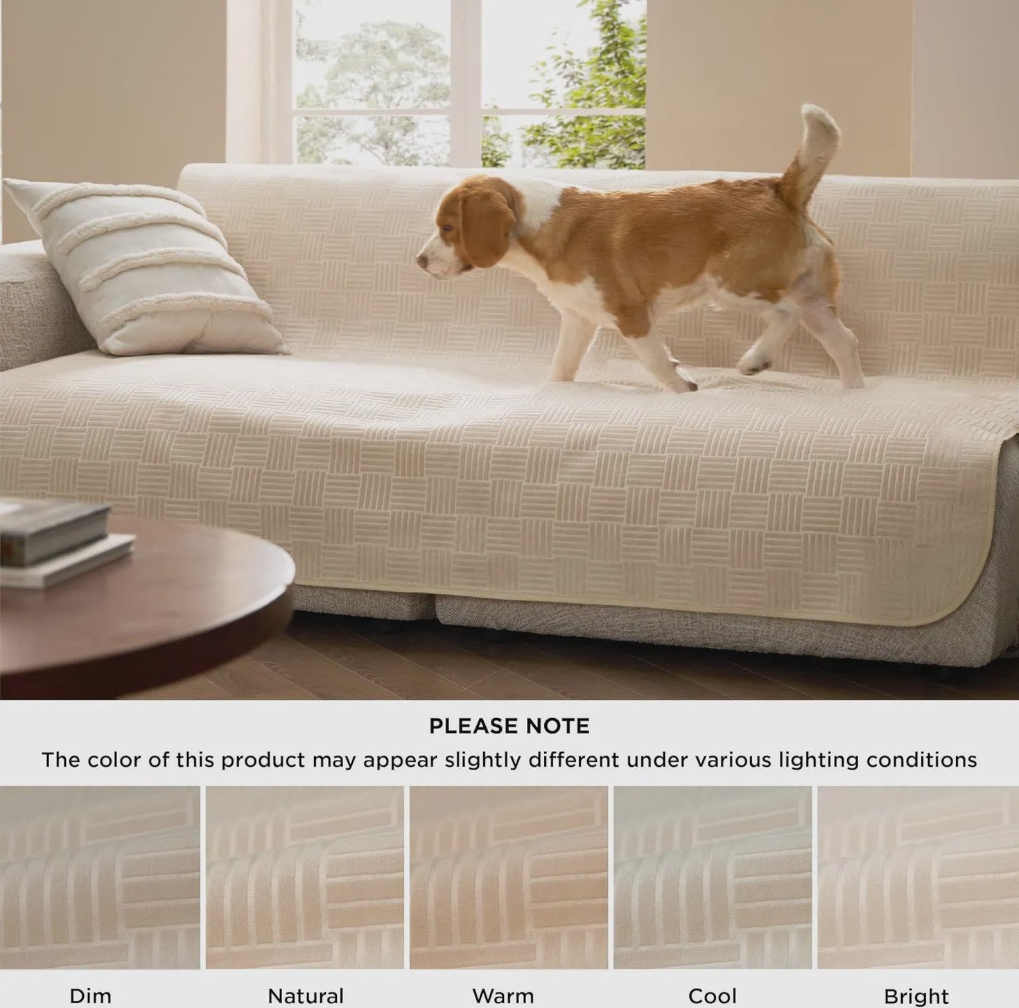 Lightweight Couch Cover for Pets