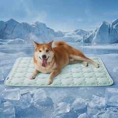 Cooling Mat for Dogs