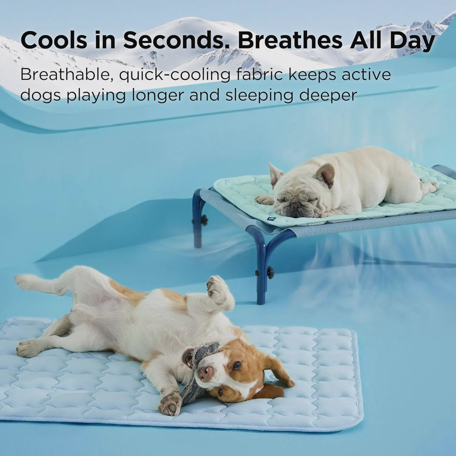 Cooling Mat for Dogs
