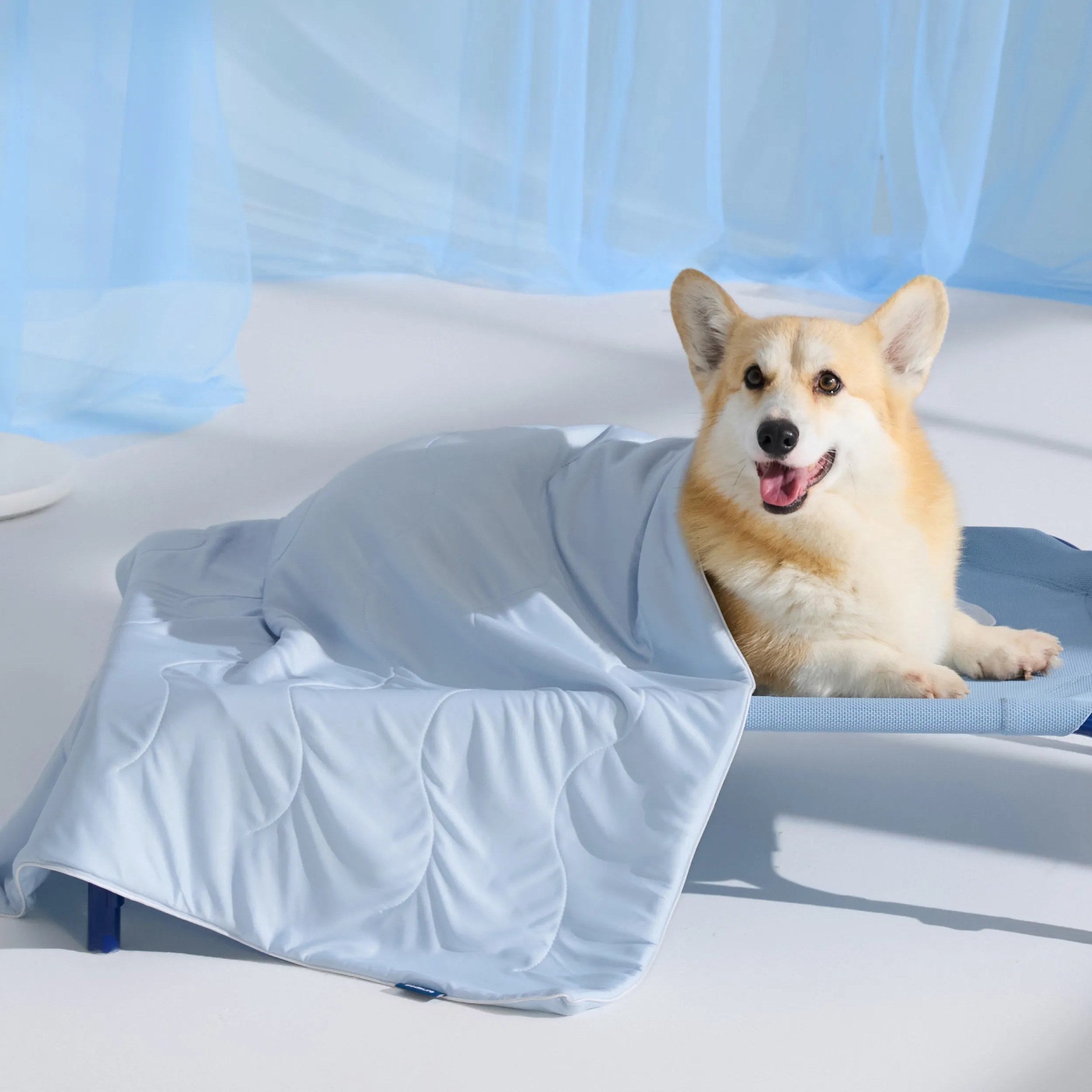 Cooling & Breathable Lightweight Pet Blanket