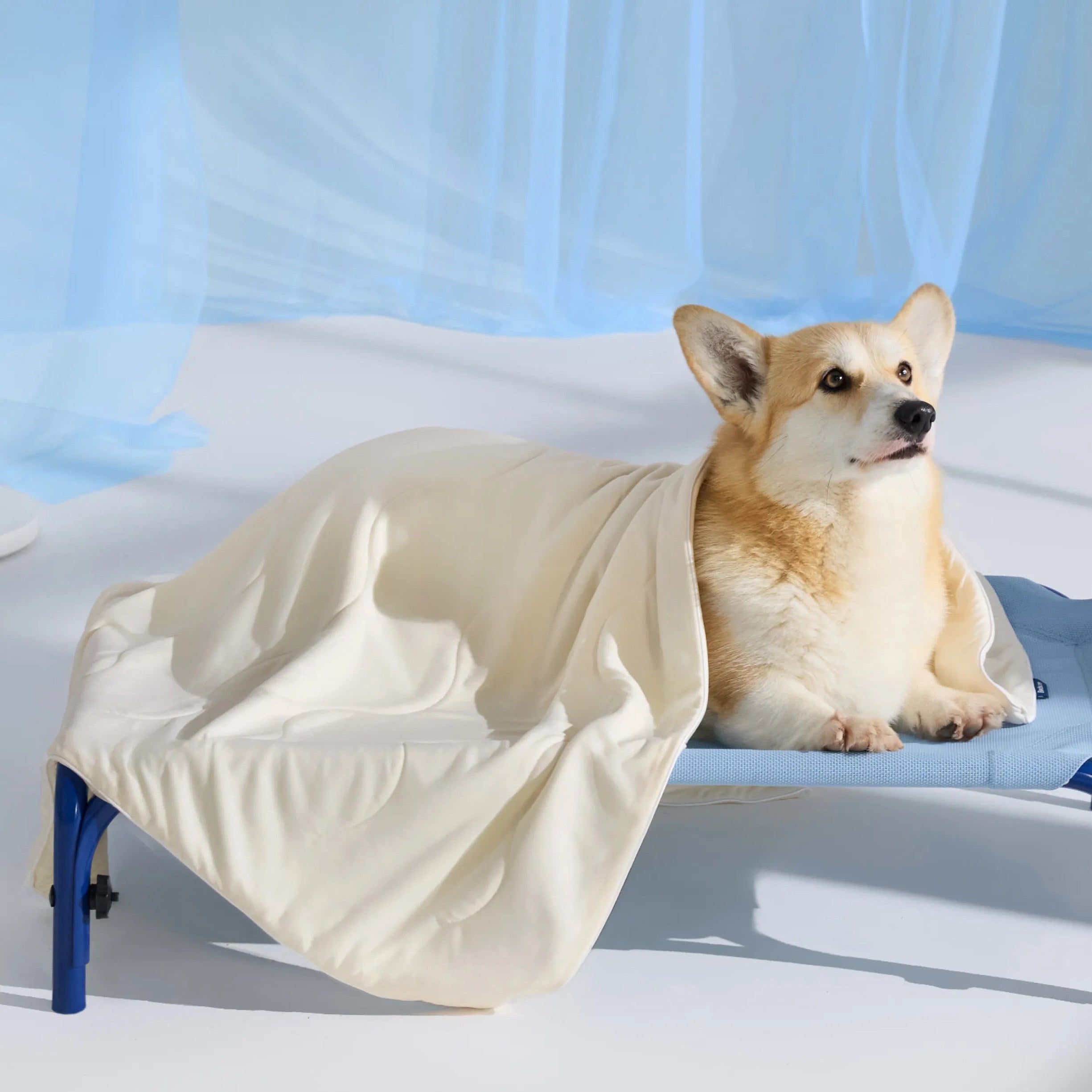 Cooling & Breathable Lightweight Pet Blanket