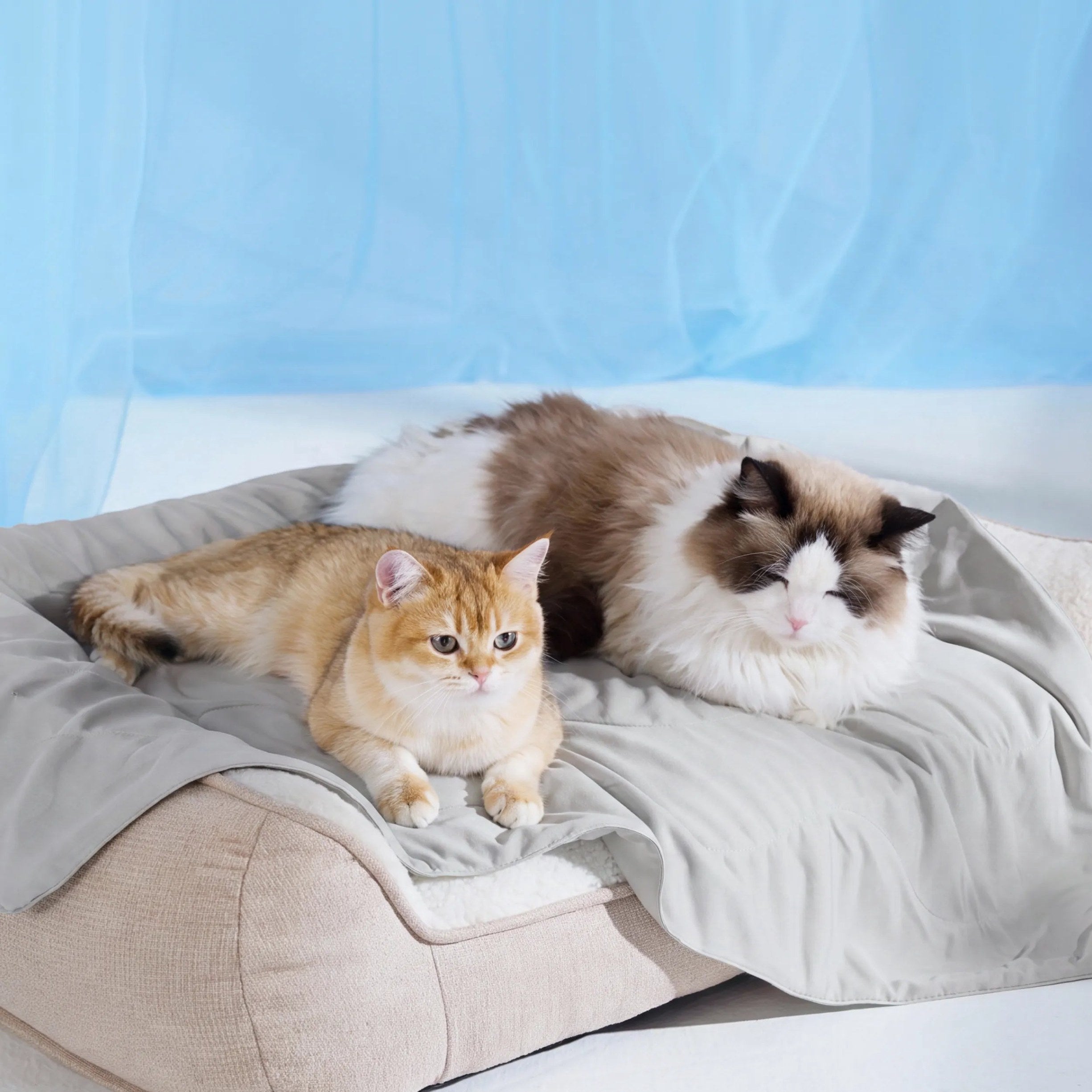 Cooling & Breathable Lightweight Pet Blanket