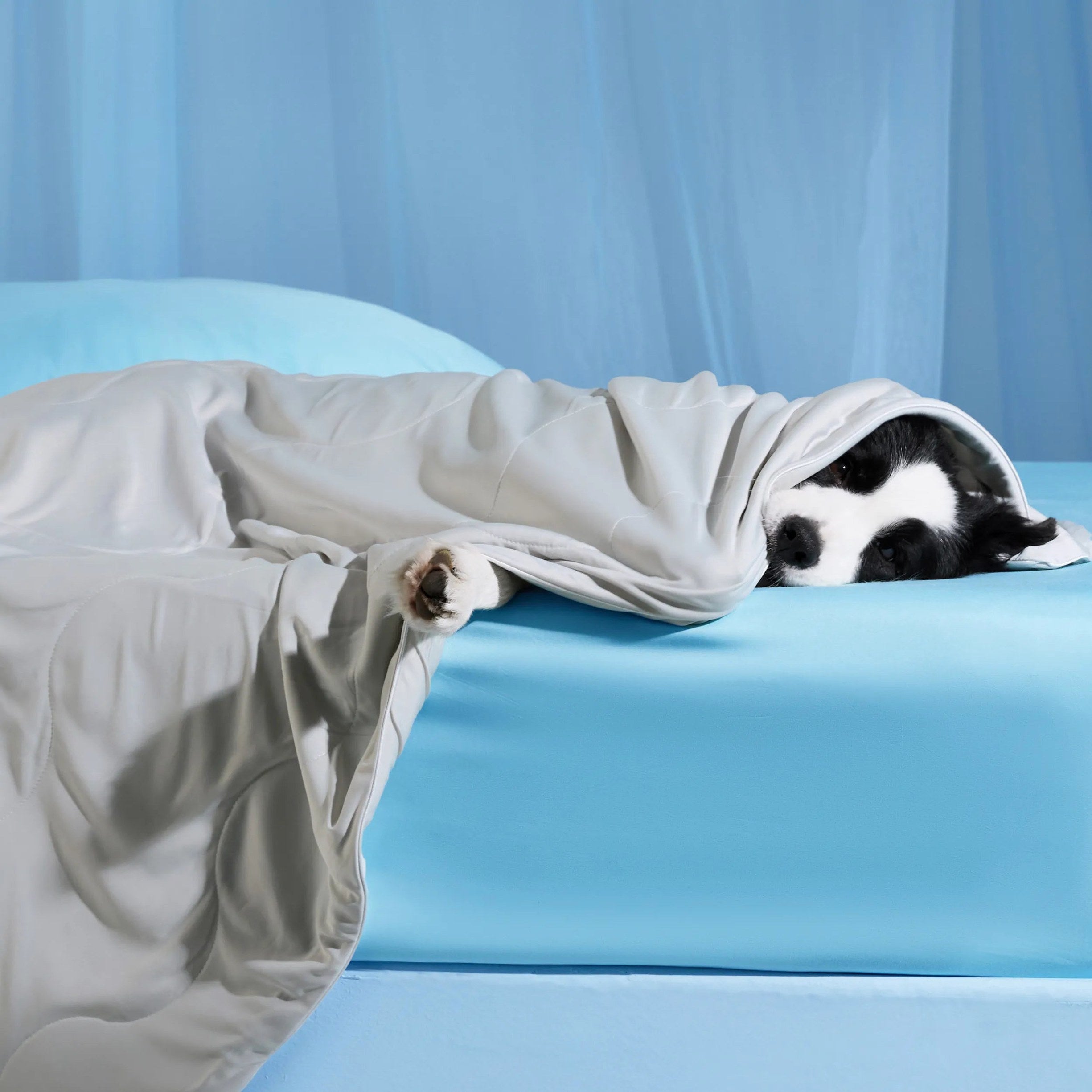 Cooling & Breathable Lightweight Pet Blanket