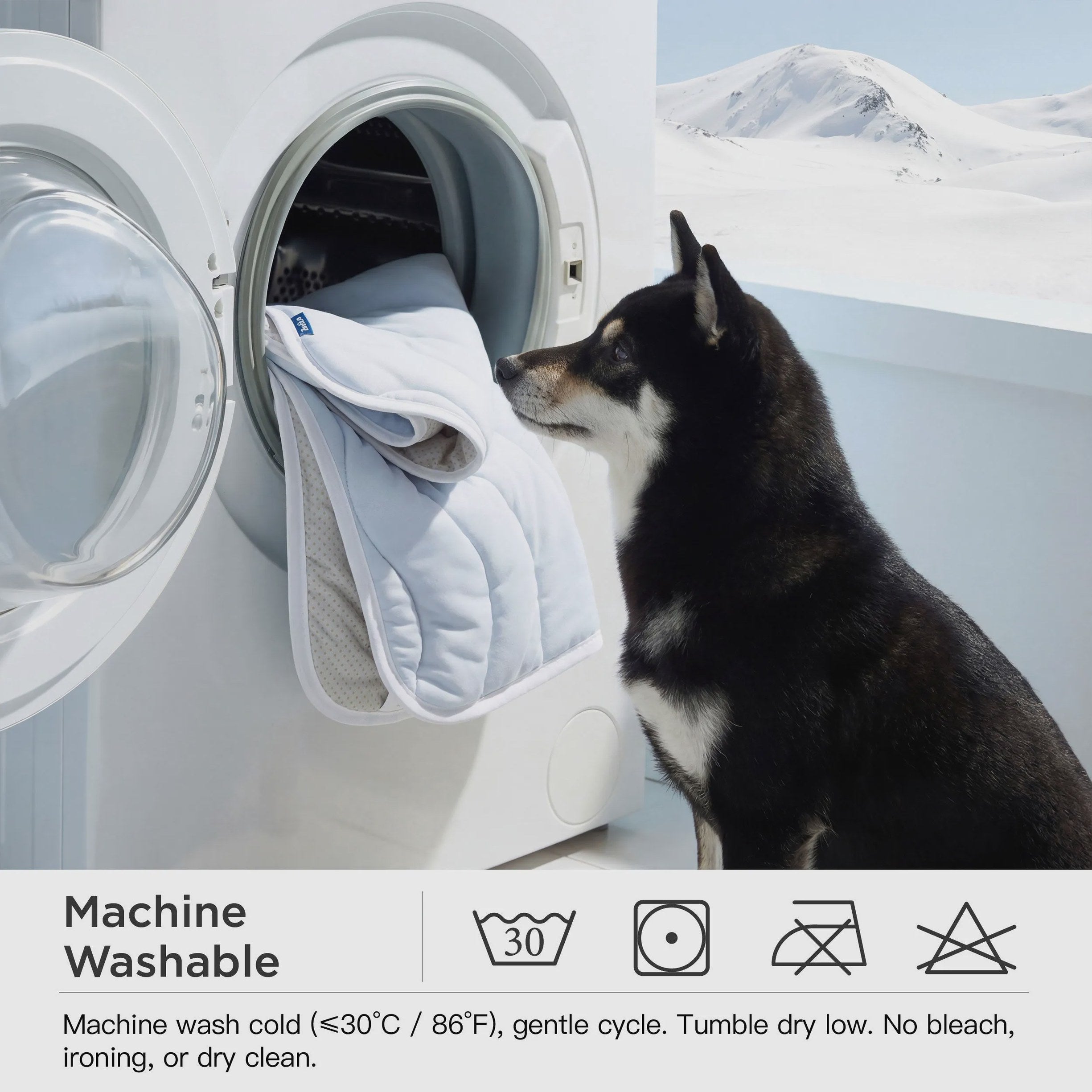 Wave Cooling Mat for Dogs